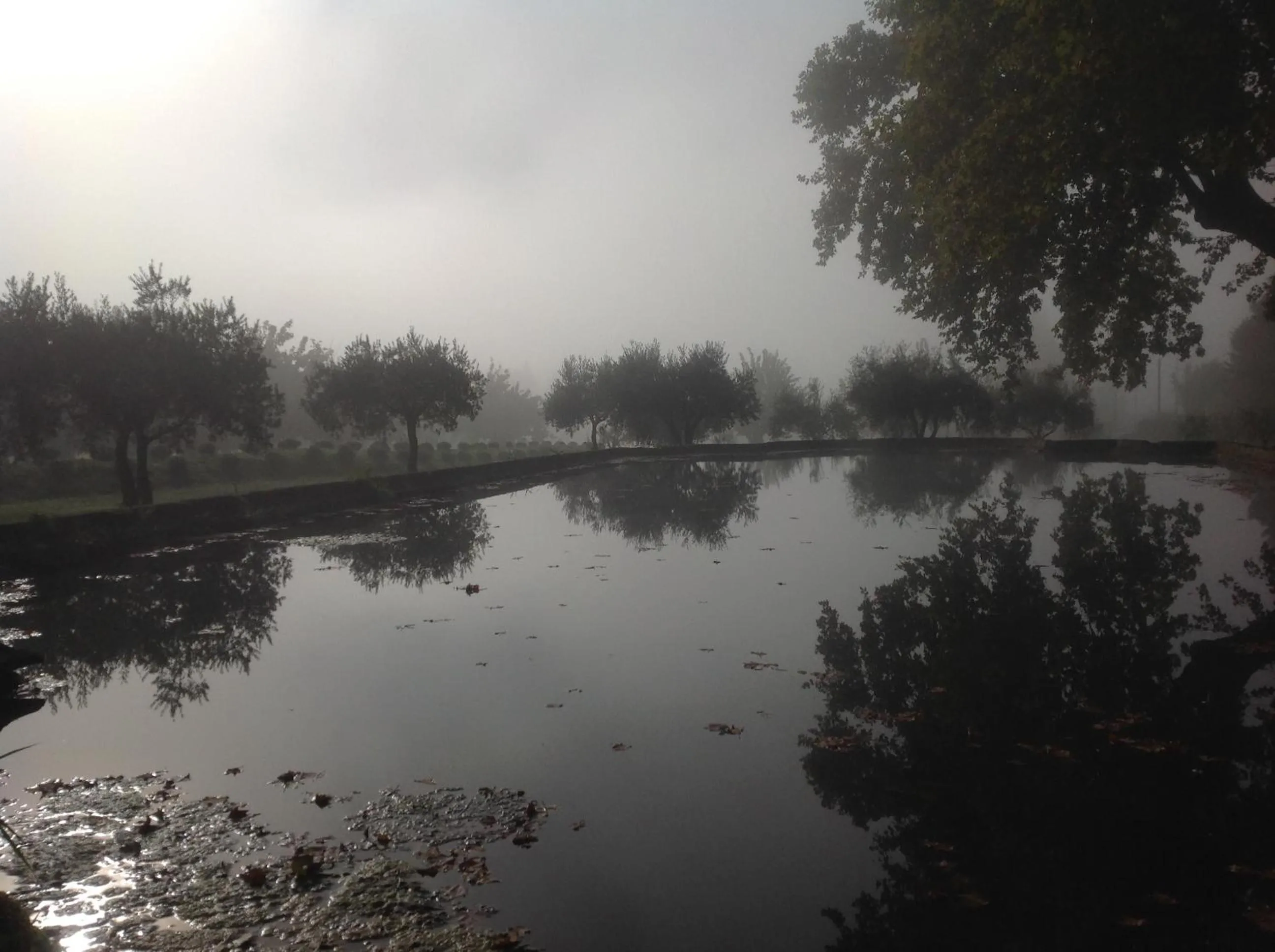 Natural landscape in Domaine la Carraire