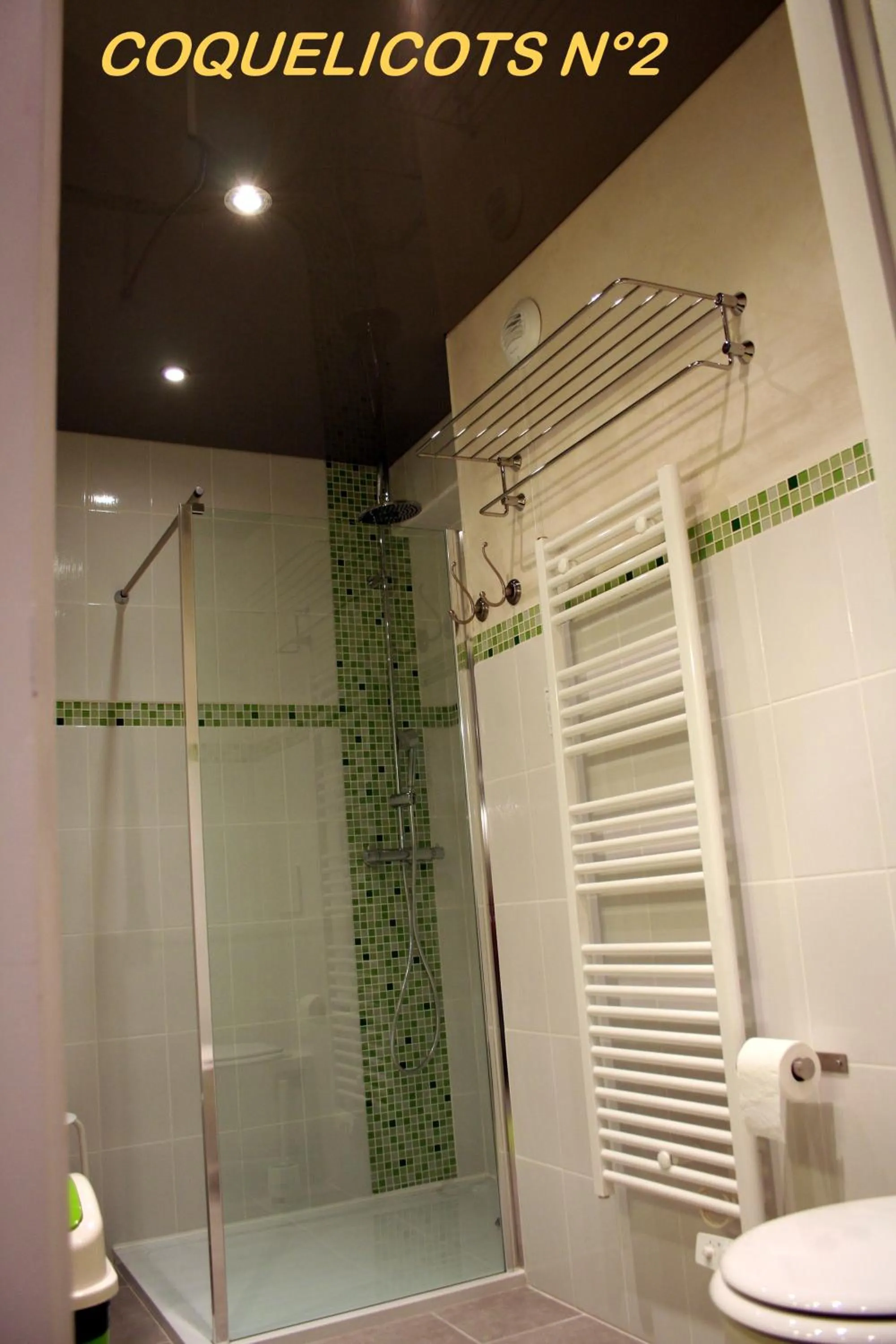 Shower in Les Hellebores