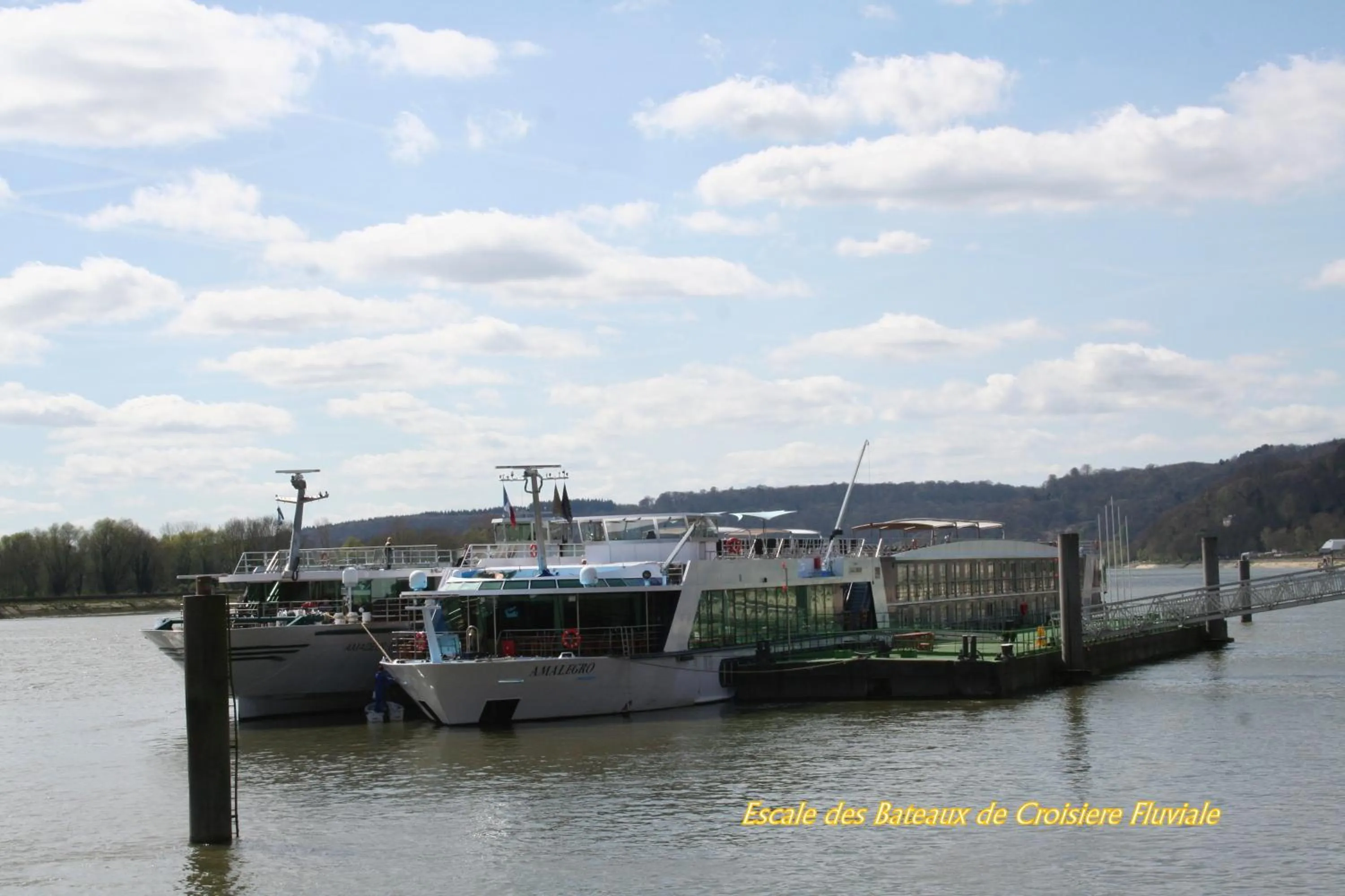 Off site in Les Hellebores