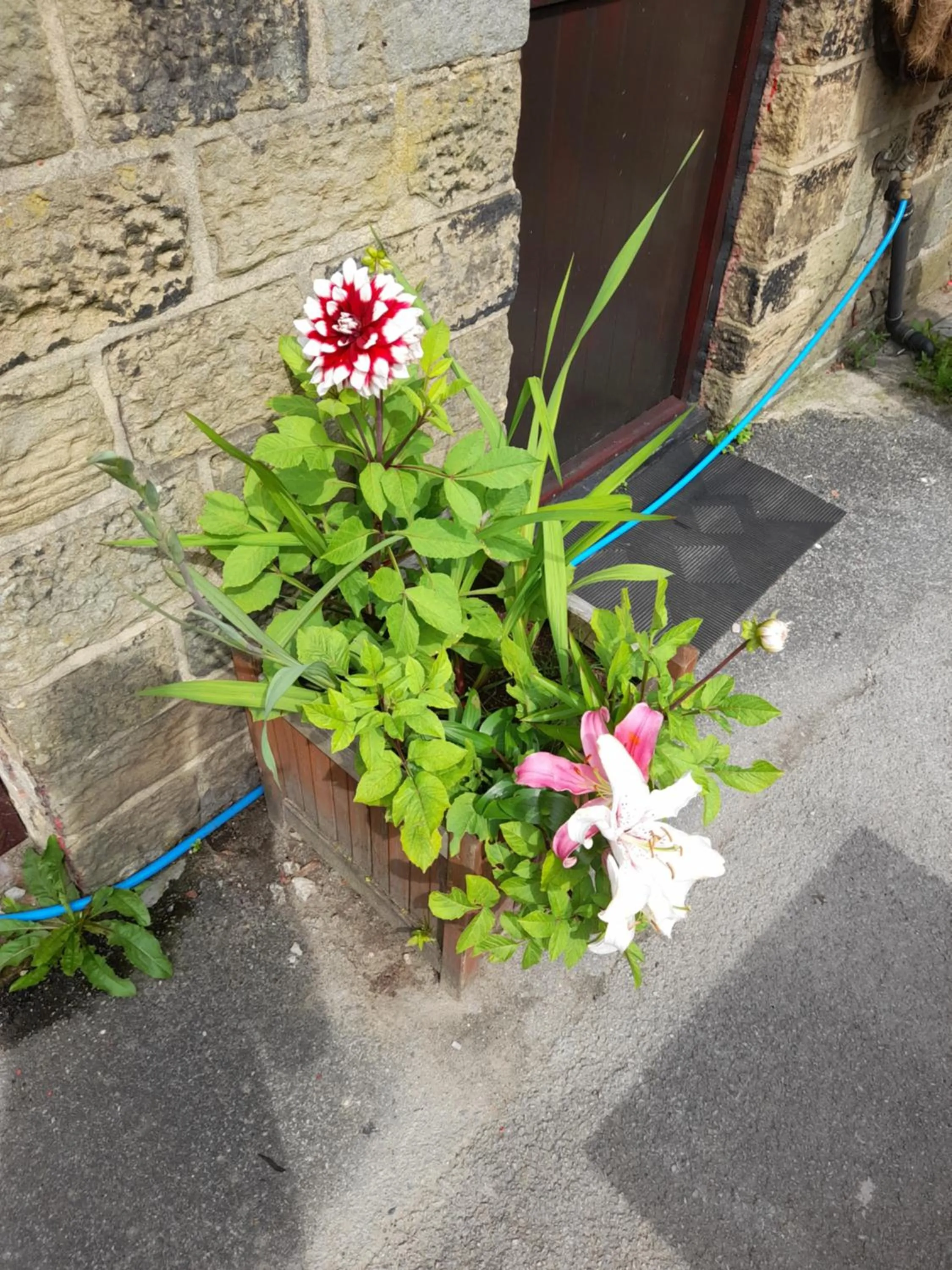 Area and facilities in The King's Head Hotel