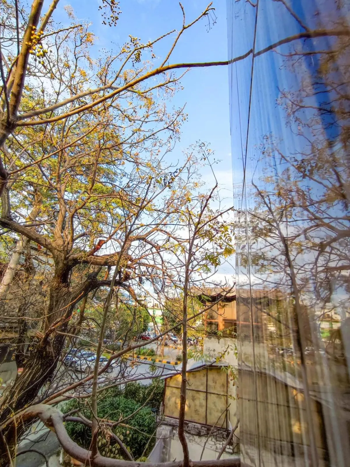 Spring in Holidazzle Lodge Islamabad