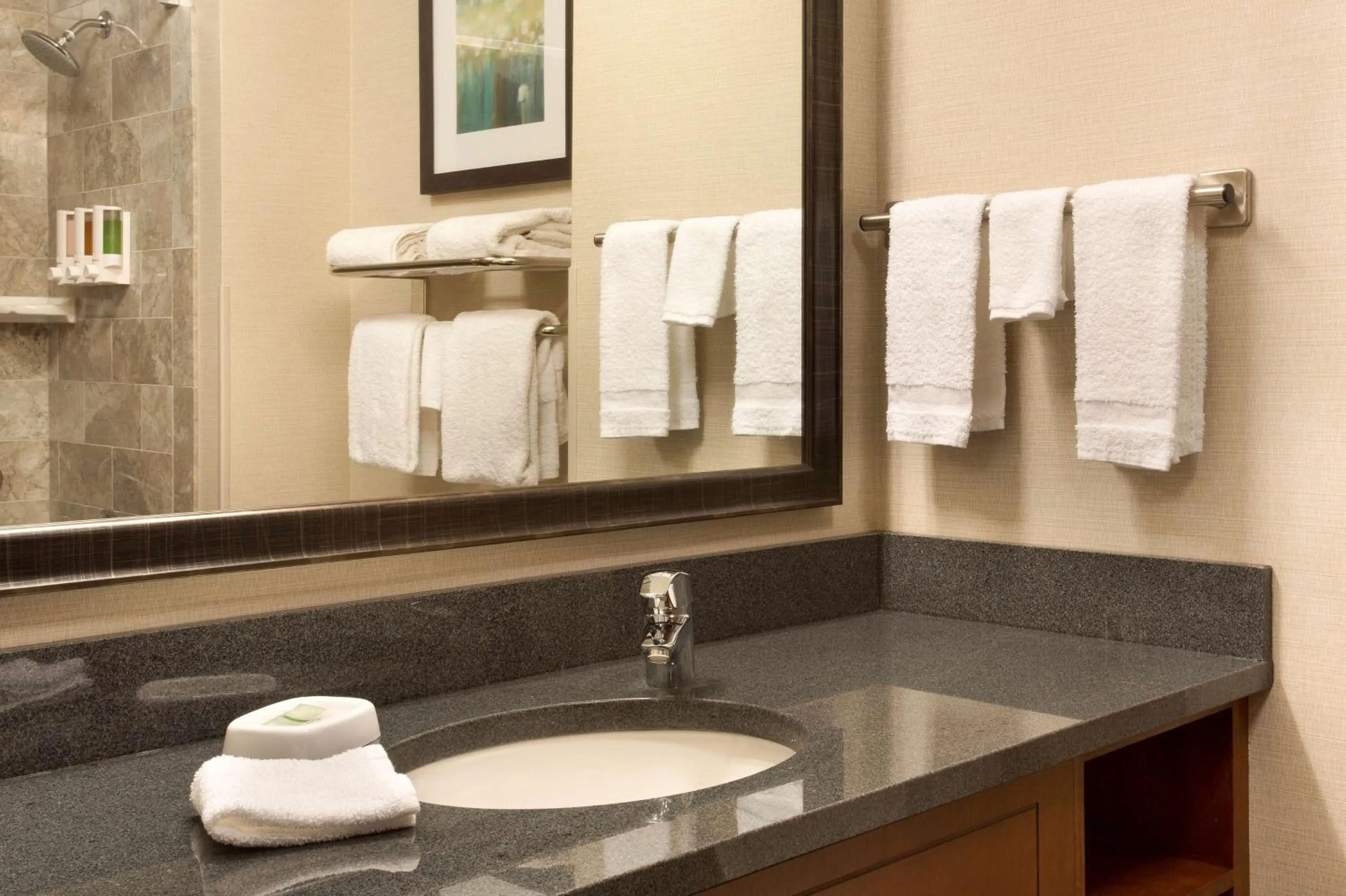 Bathroom in Drury Inn & Suites St. Louis Brentwood