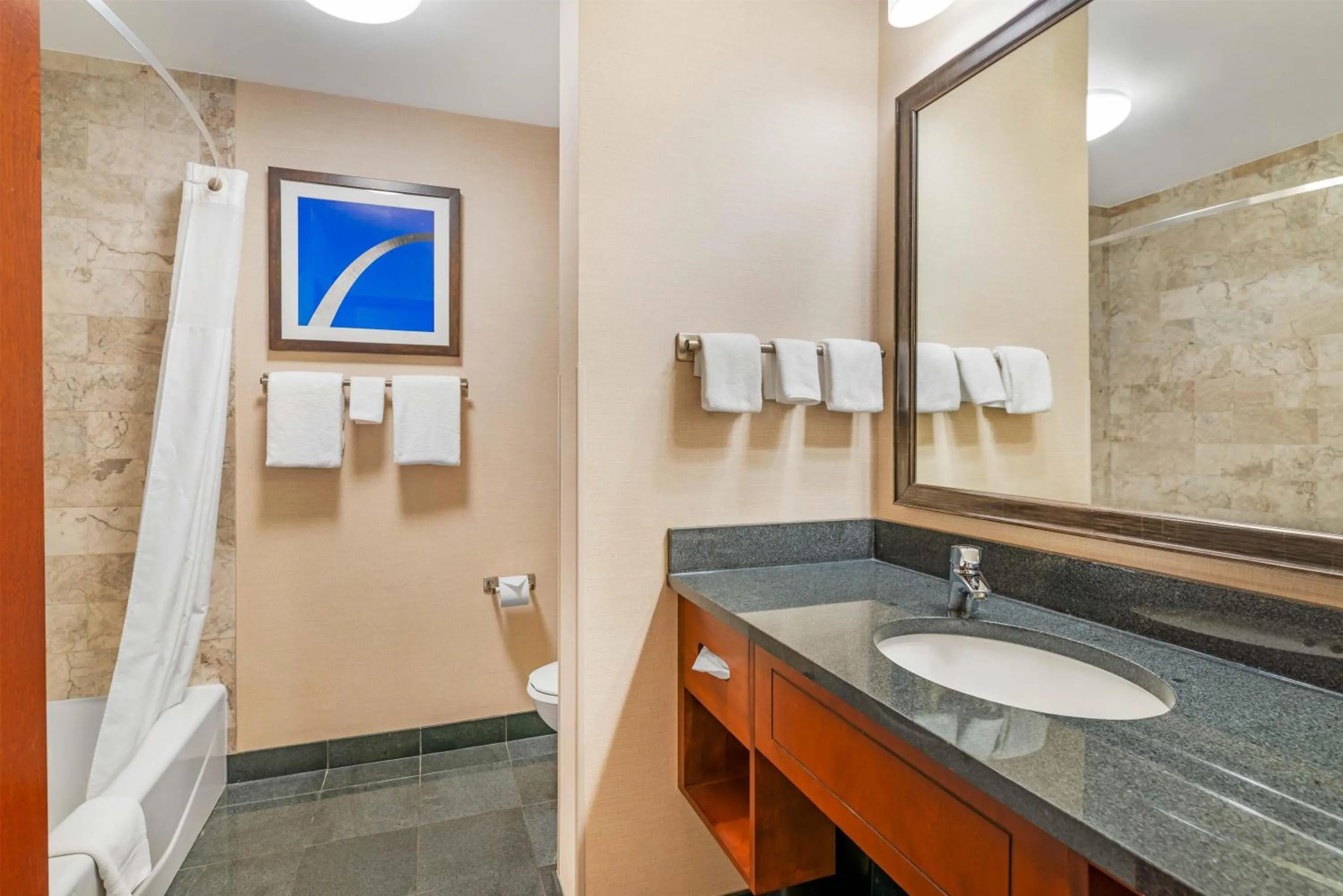 Bathroom in Drury Plaza Hotel St Louis Brentwood