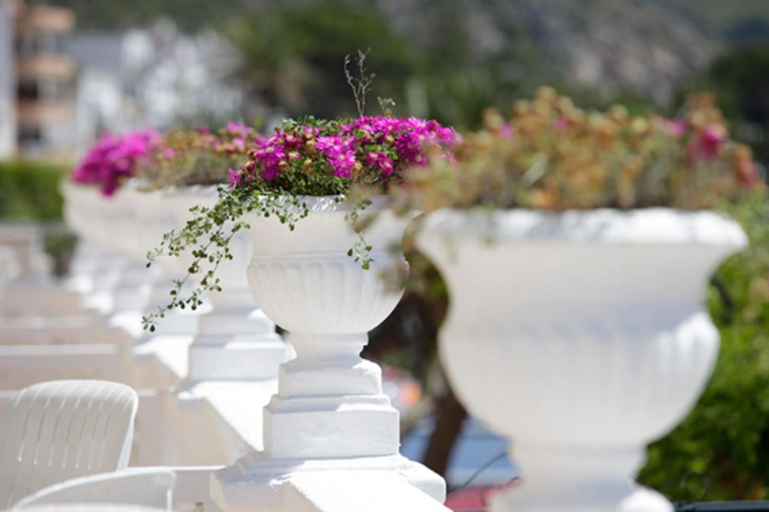 Balcony/Terrace in Hotel Miramar Mallorca