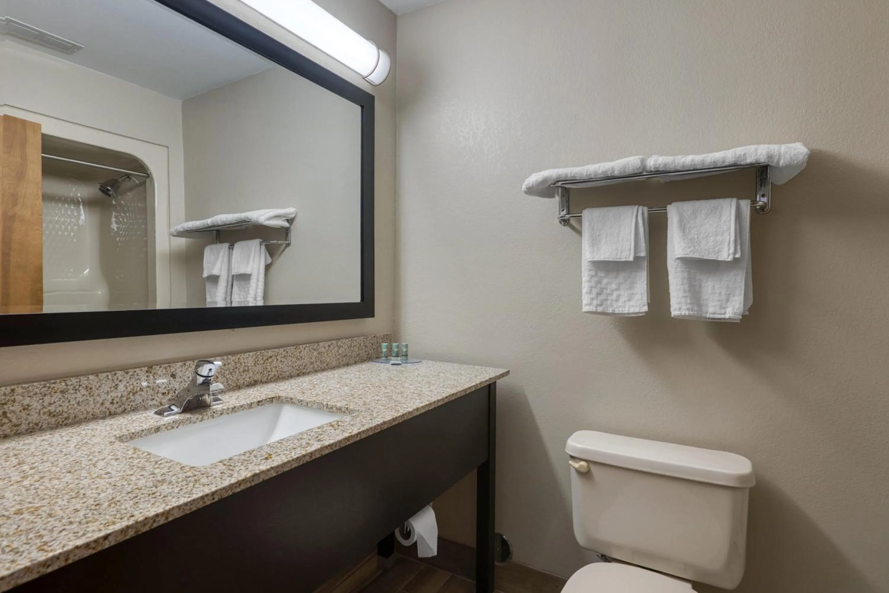 Bathroom in Best Western Executive Inn & Suites