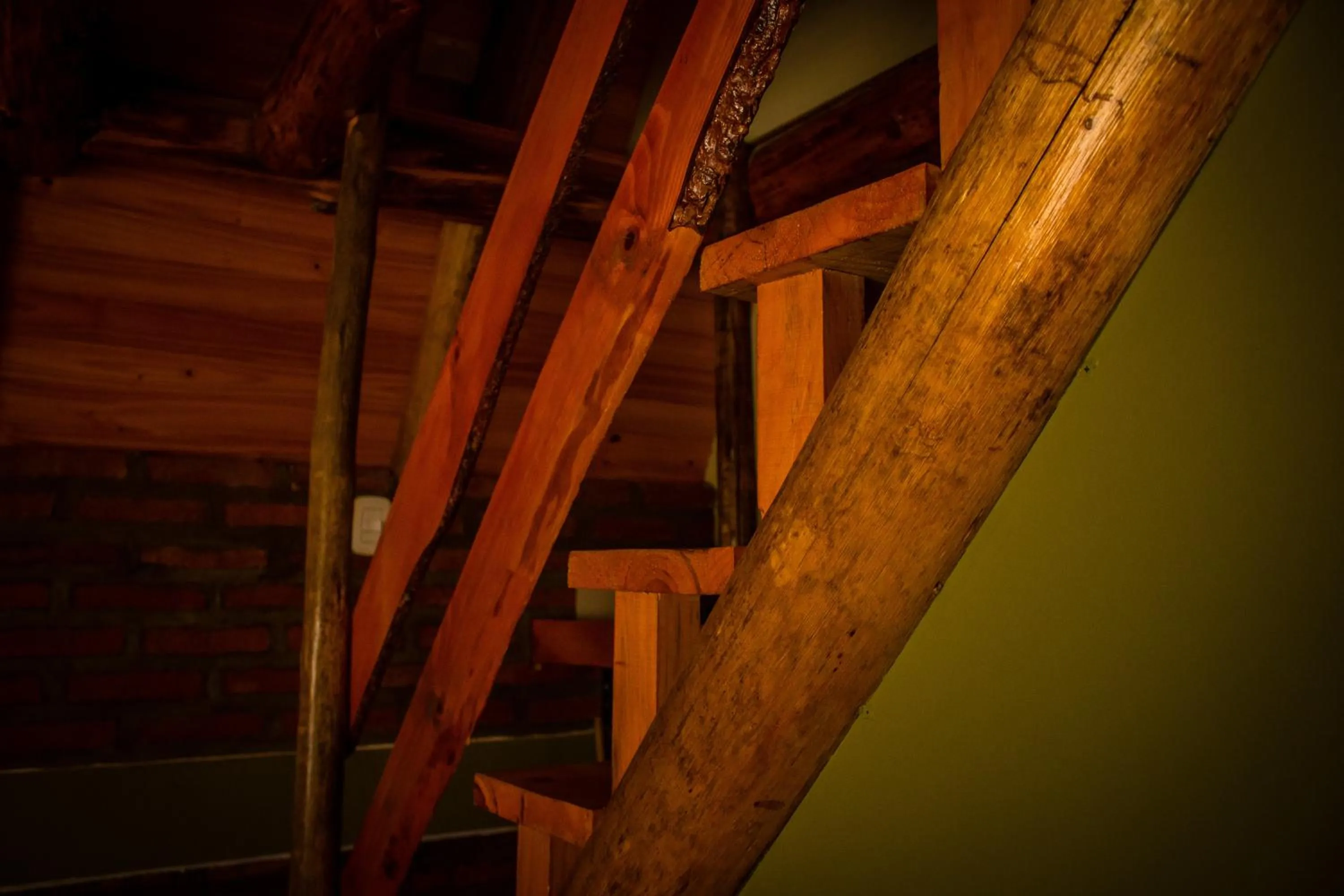 Other in Patagonia Encantada