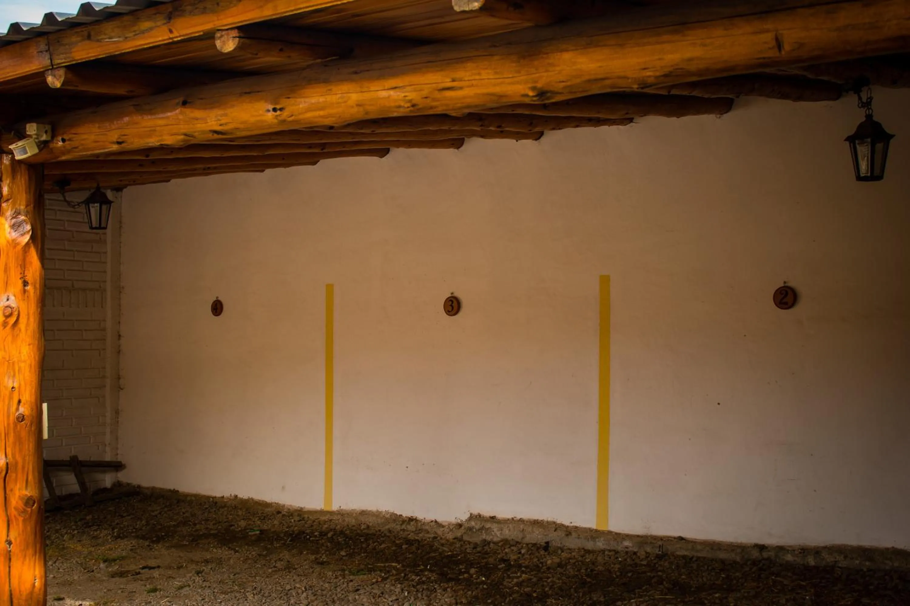 Other in Patagonia Encantada