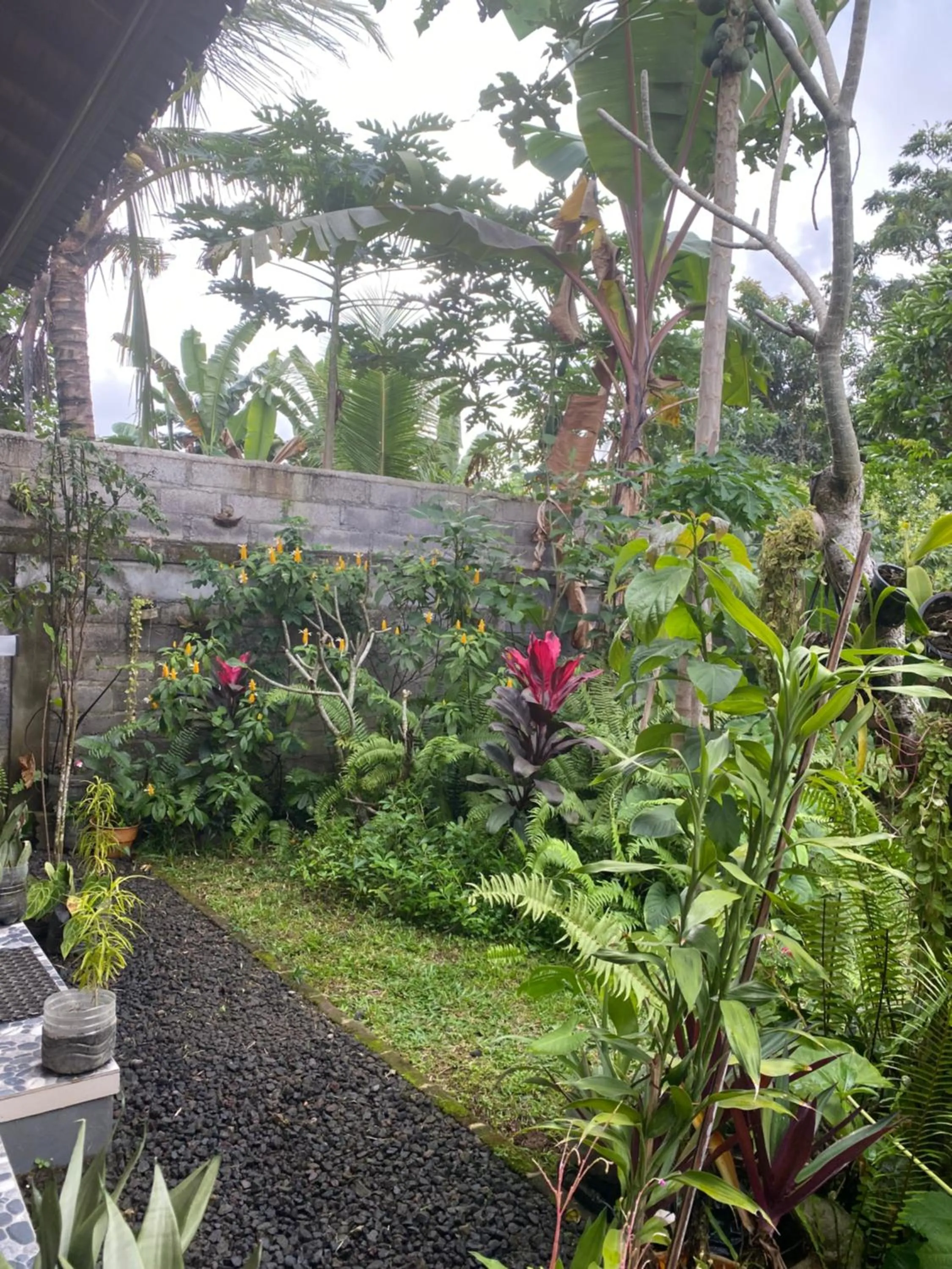 Garden in Bali Asli Guest House by EPS