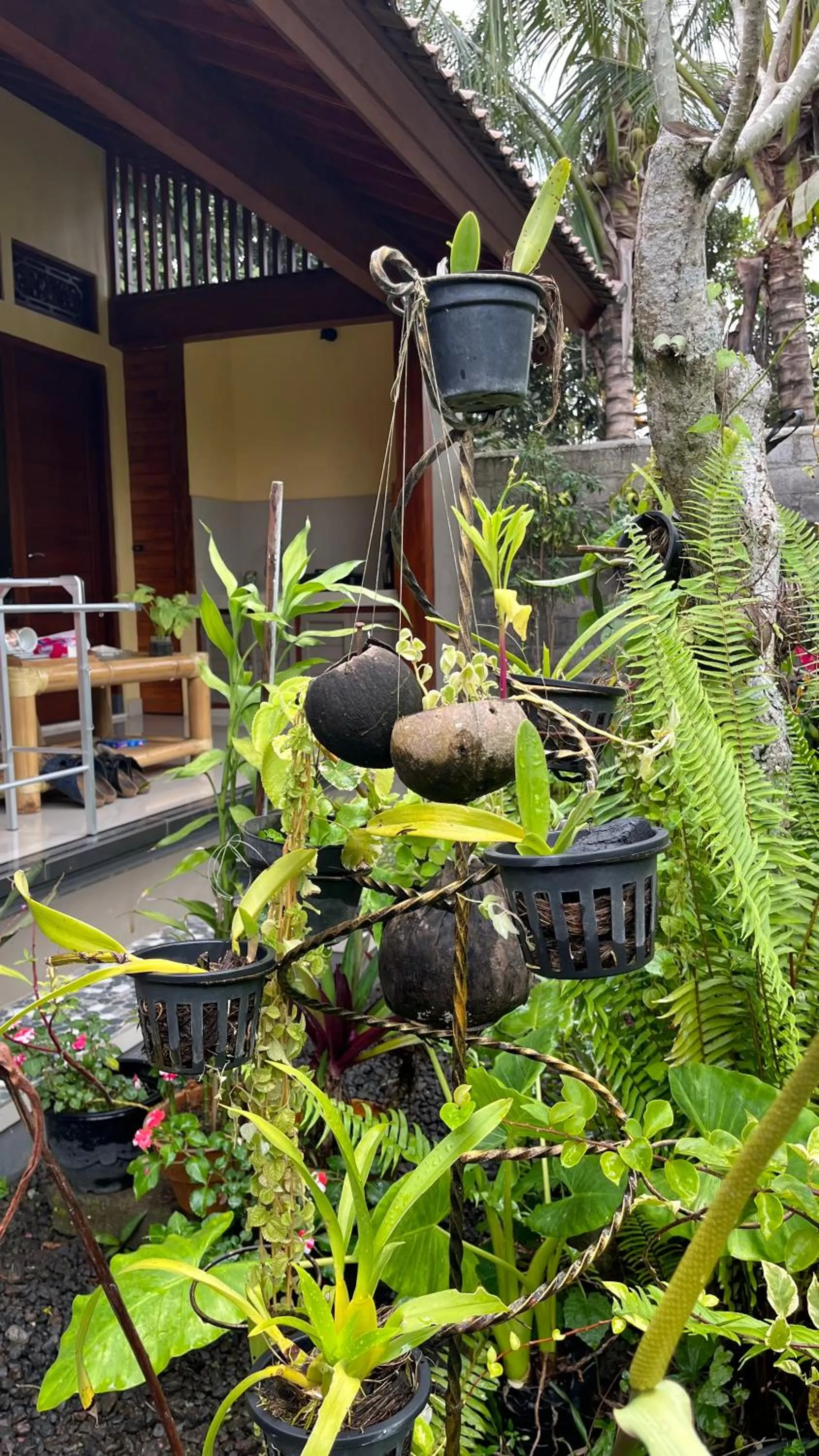 Garden in Bali Asli Guest House by EPS