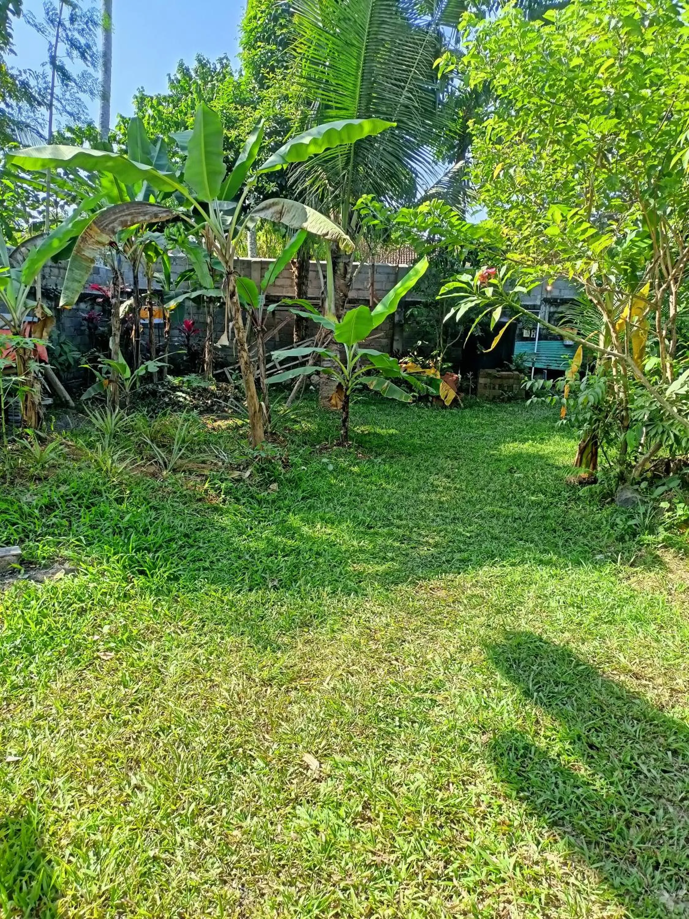 Spring in Bali Asli Guest House by EPS