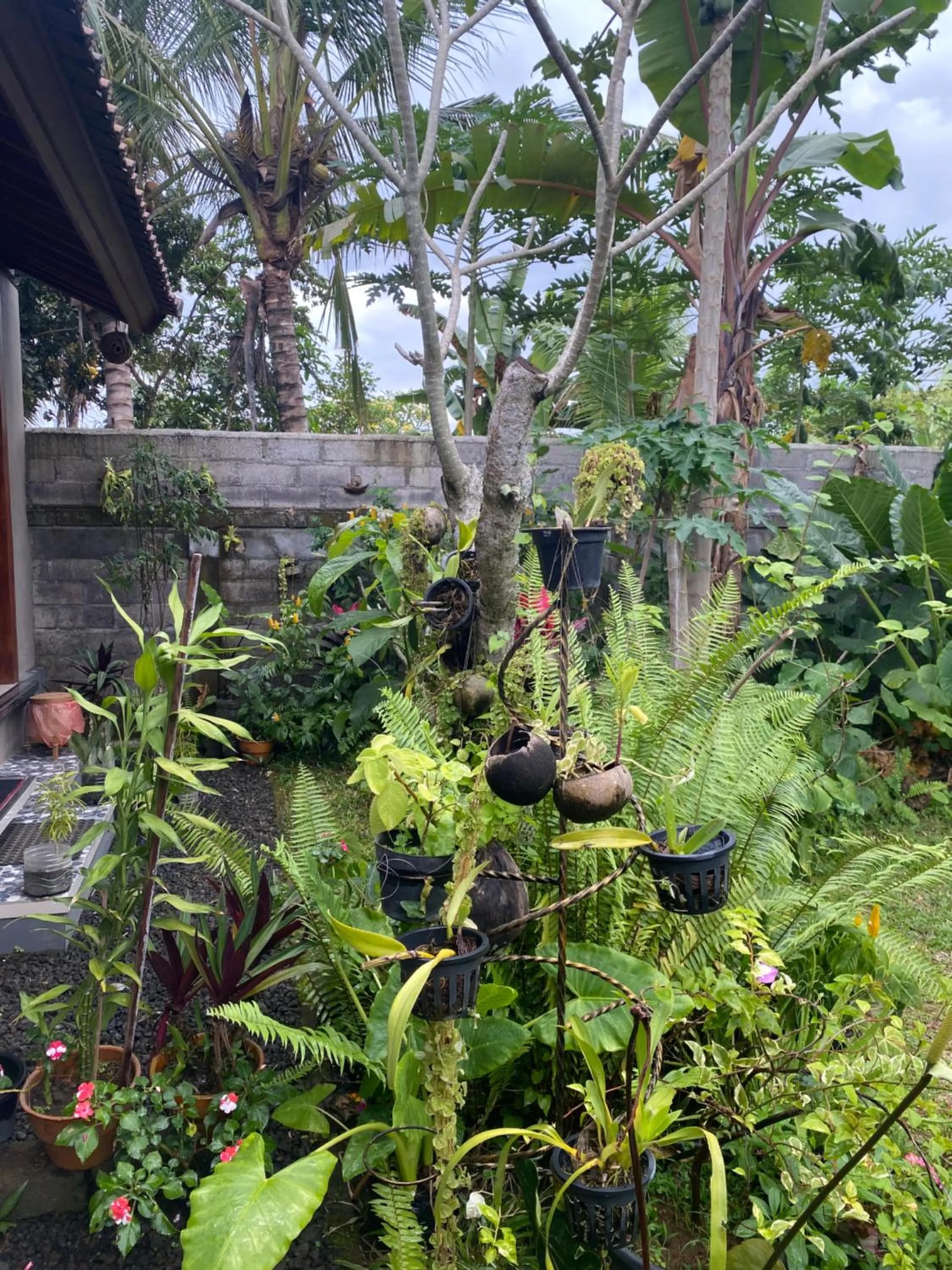 Garden in Bali Asli Guest House by EPS
