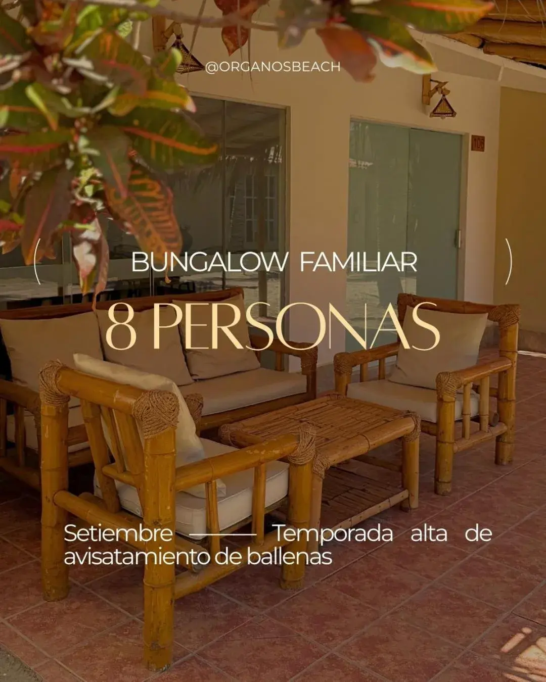 Family Bungalow in ÓRGANOS BEACH bungalows & suites Family Bungalow in ÓRGANOS BEACH bungalows & suites