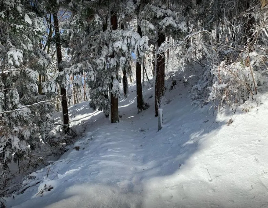 Natural landscape in NOZARU ONSEN HOSTEL