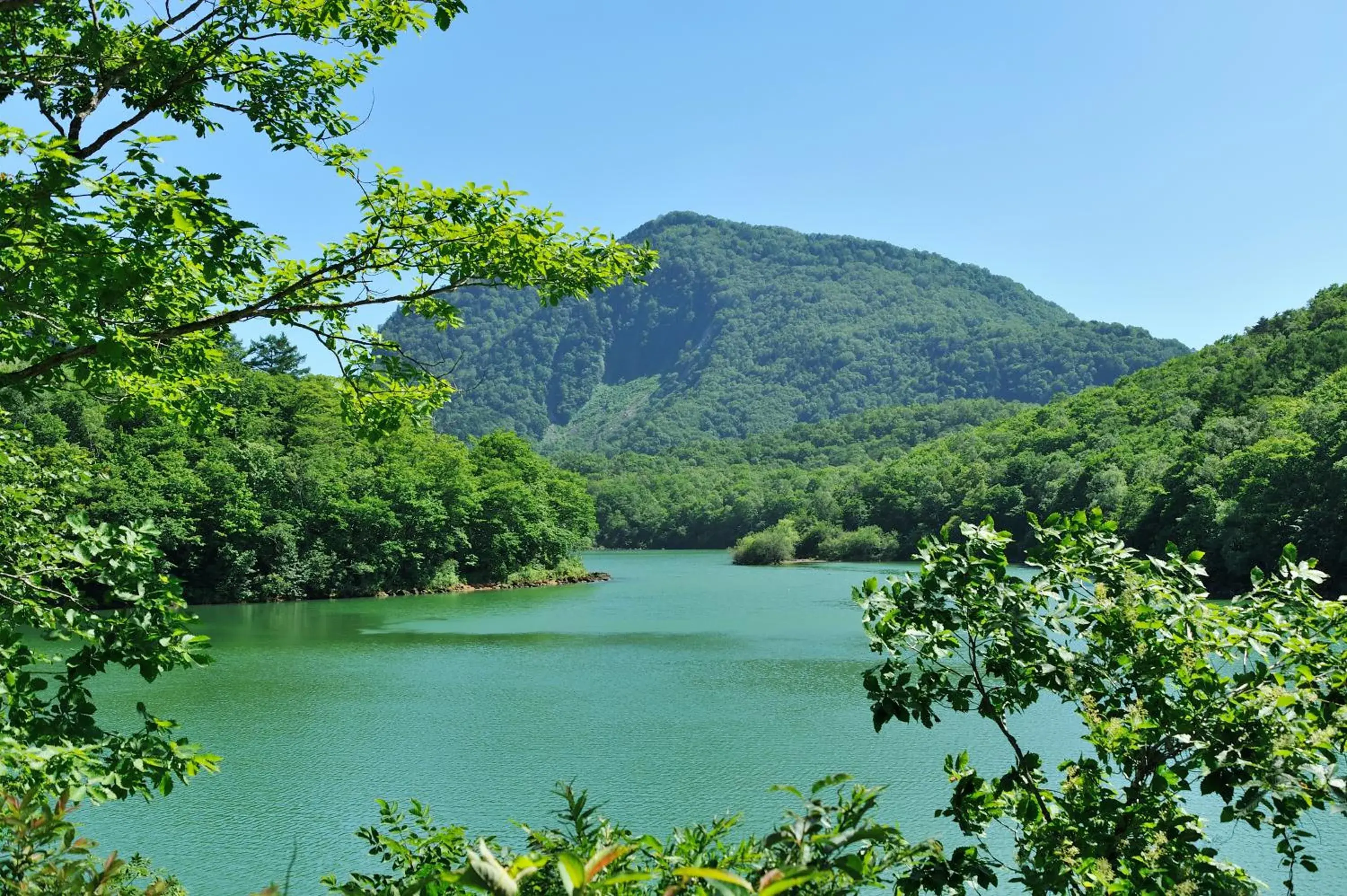 Natural Landscape in Nozaru Hostel