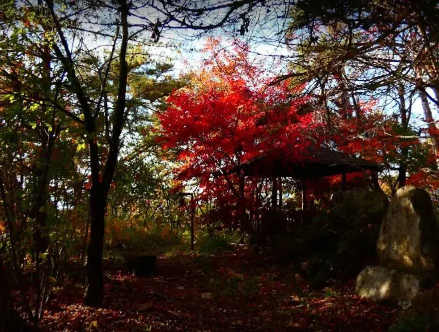 Hiking, Garden in Nozaru Hostel