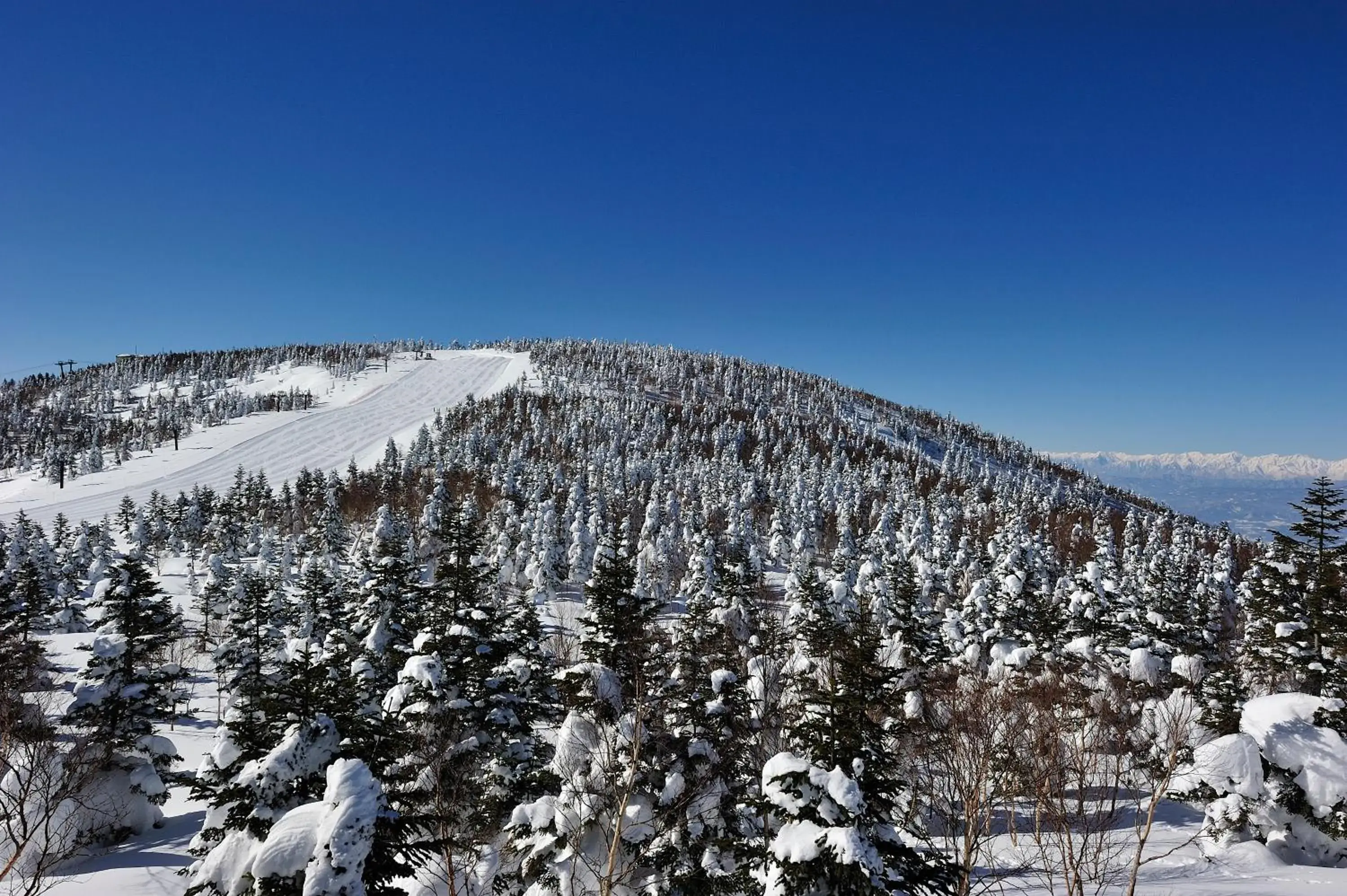 Skiing, Winter in Nozaru Hostel