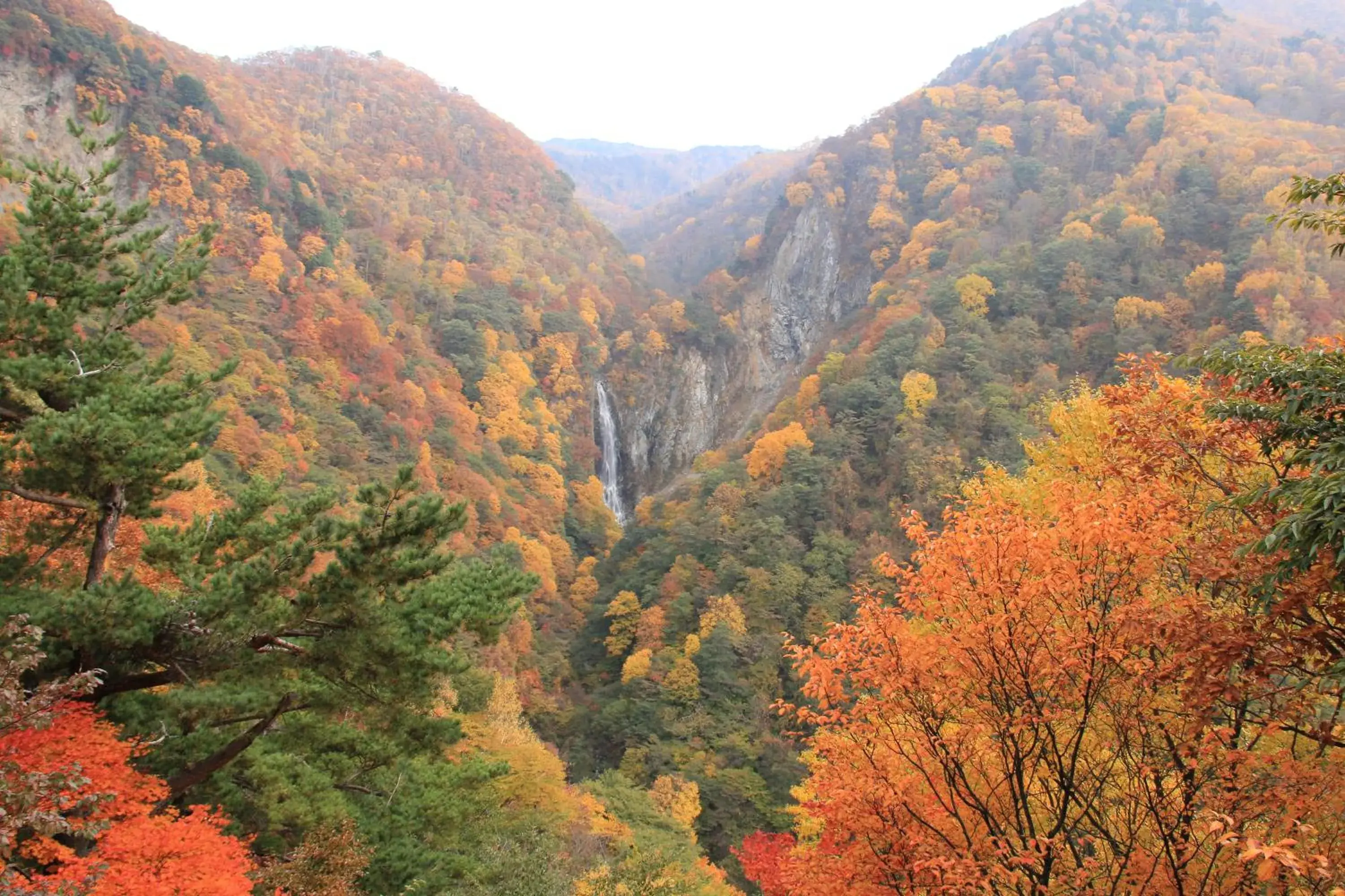 Natural Landscape in Nozaru Hostel