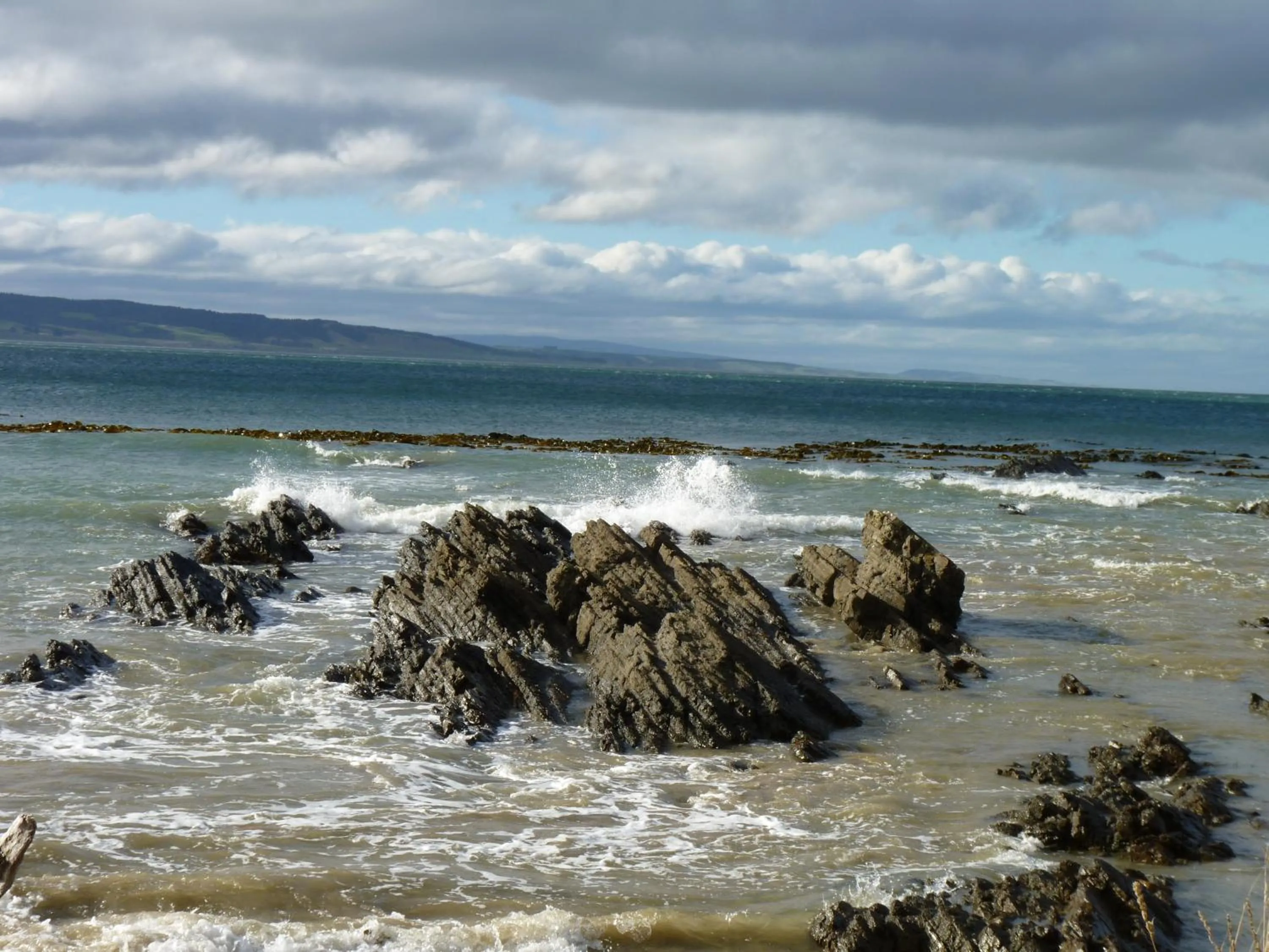 Area and facilities in Kaka Point Motels