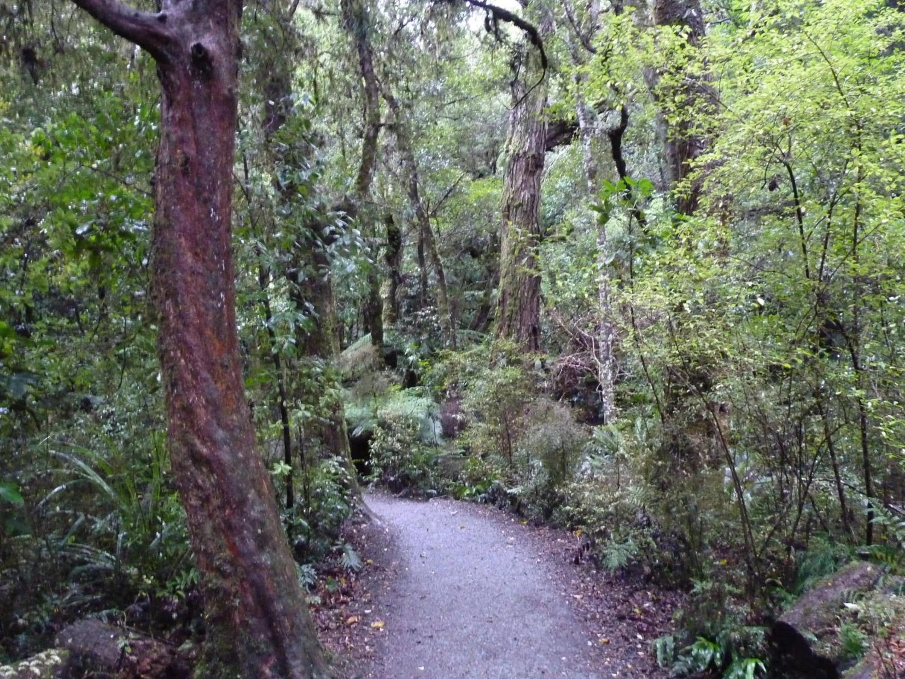 Area and facilities in Kaka Point Motels