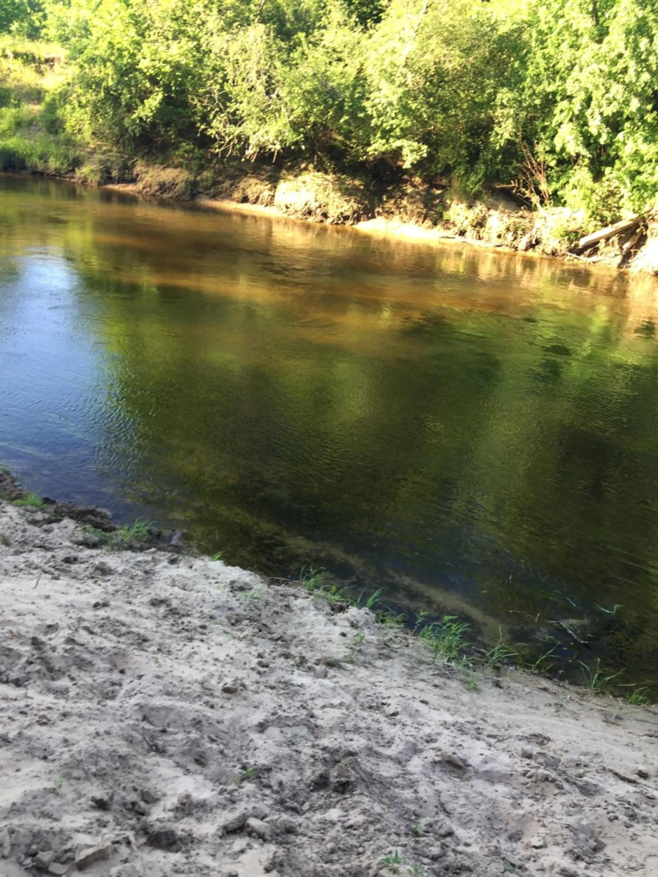 Beach in Kaimo turizmo sodyba Geras