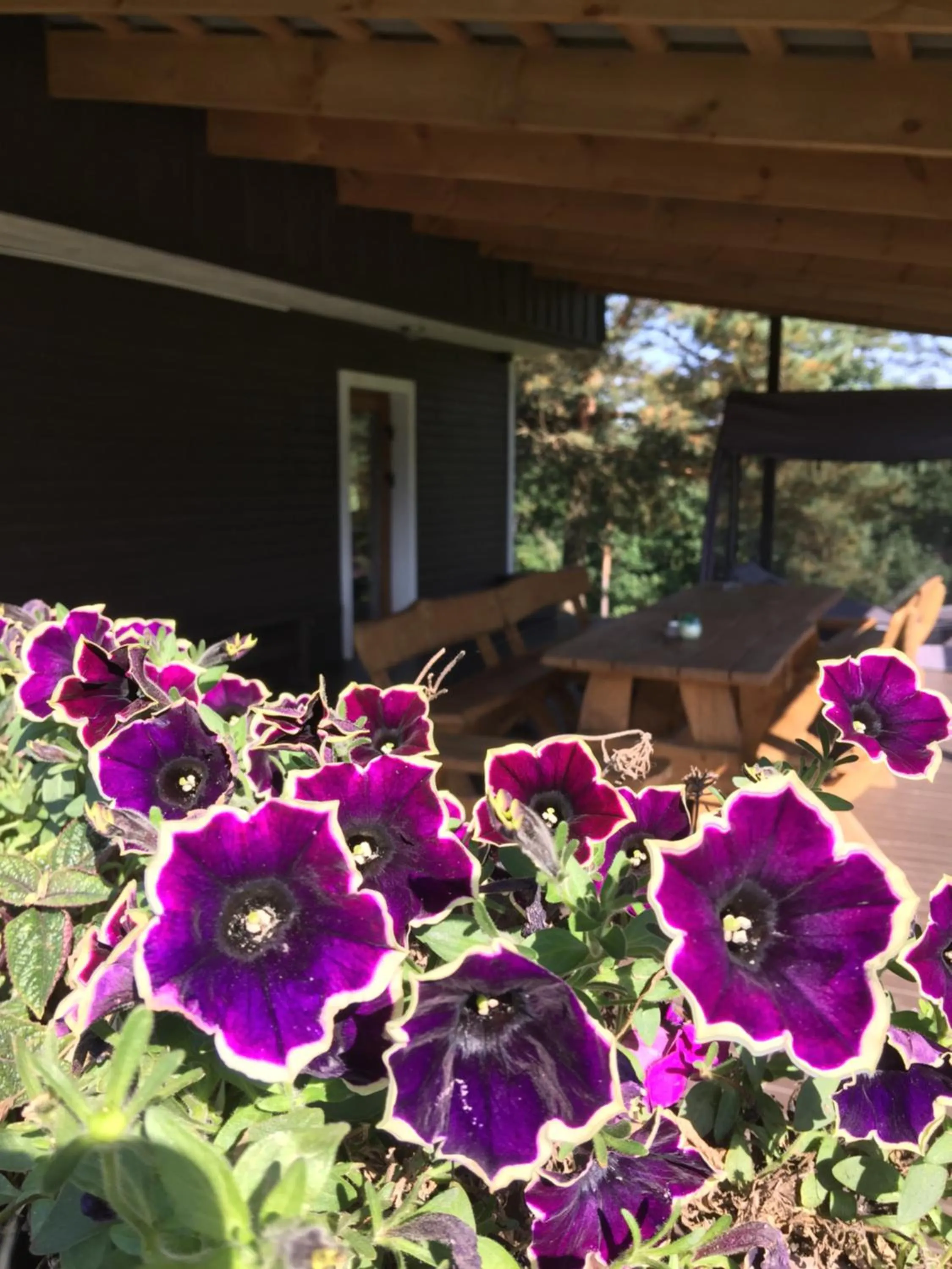 Balcony/Terrace in Kaimo turizmo sodyba Geras