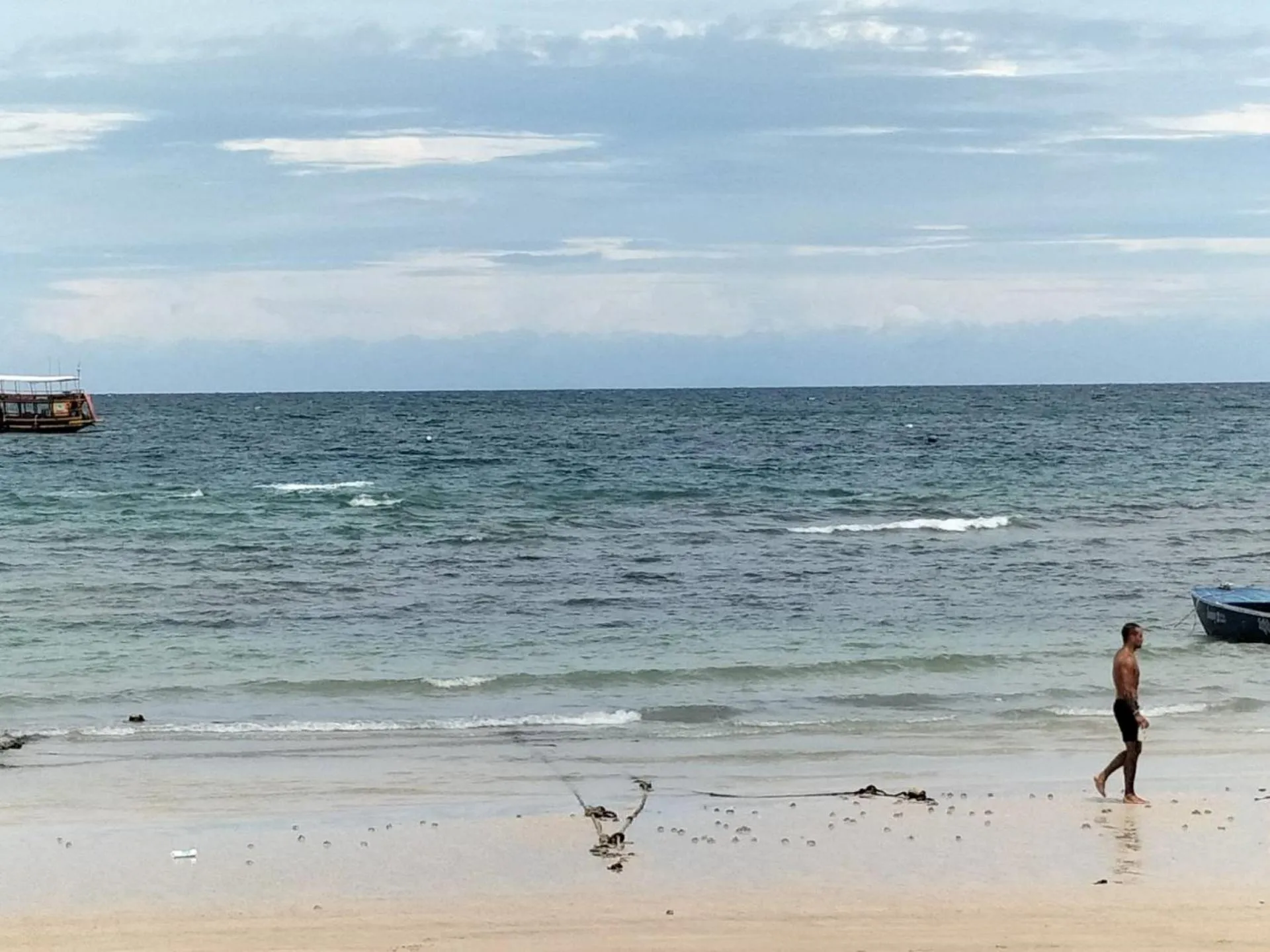Natural landscape in Lotus Hostel Beach Koh Tao