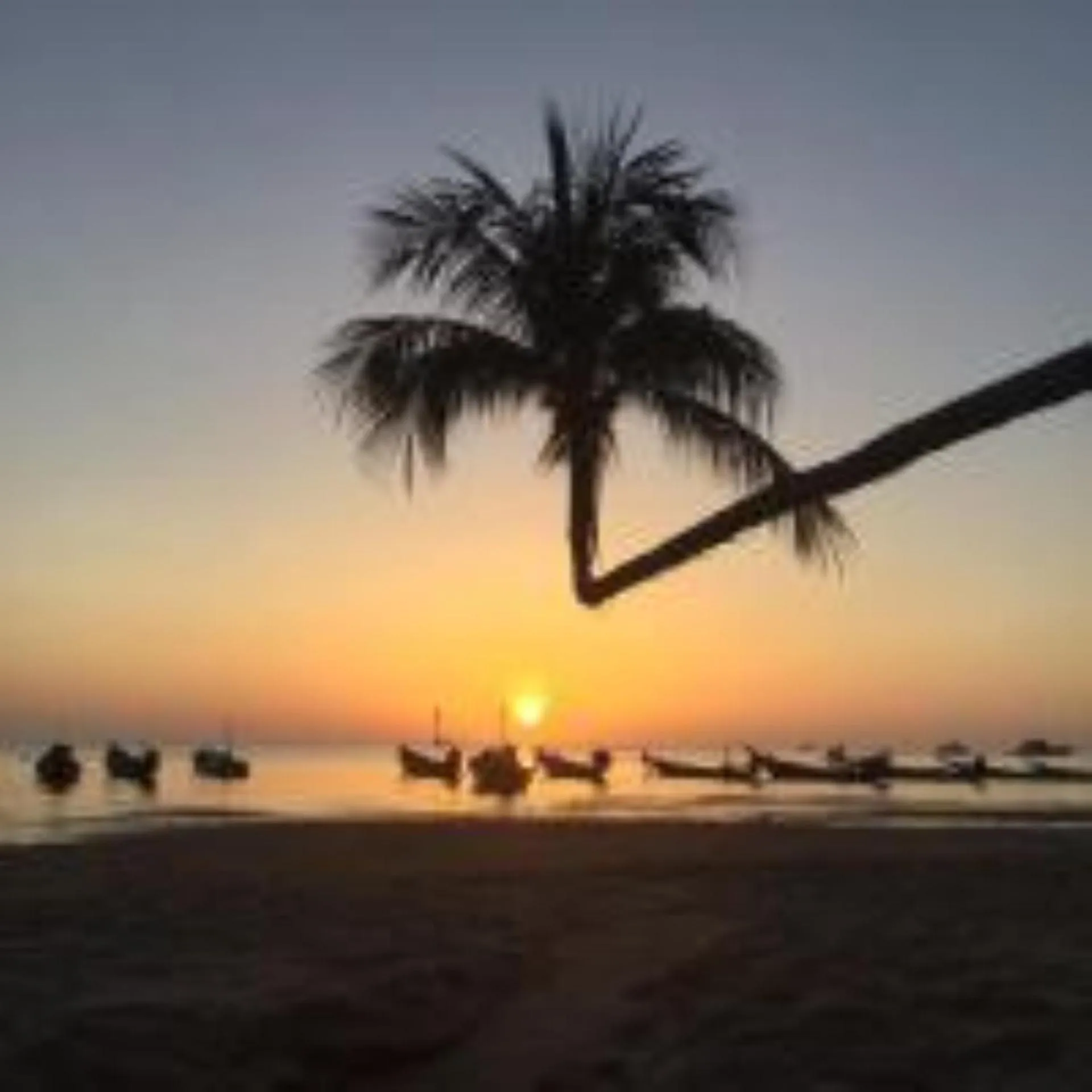 Beach in Lotus Hostel Beach Koh Tao
