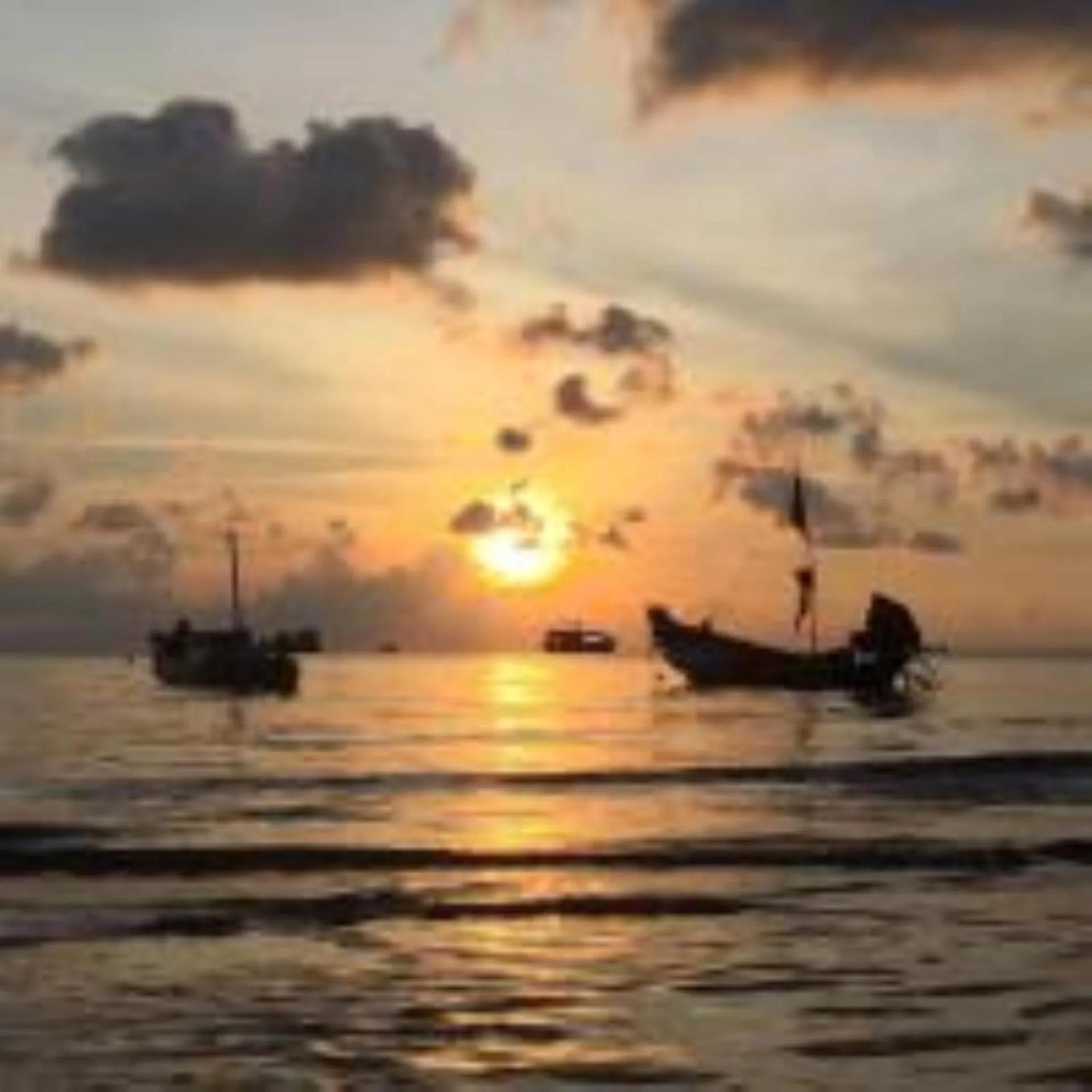 Natural landscape in Lotus Hostel Beach Koh Tao