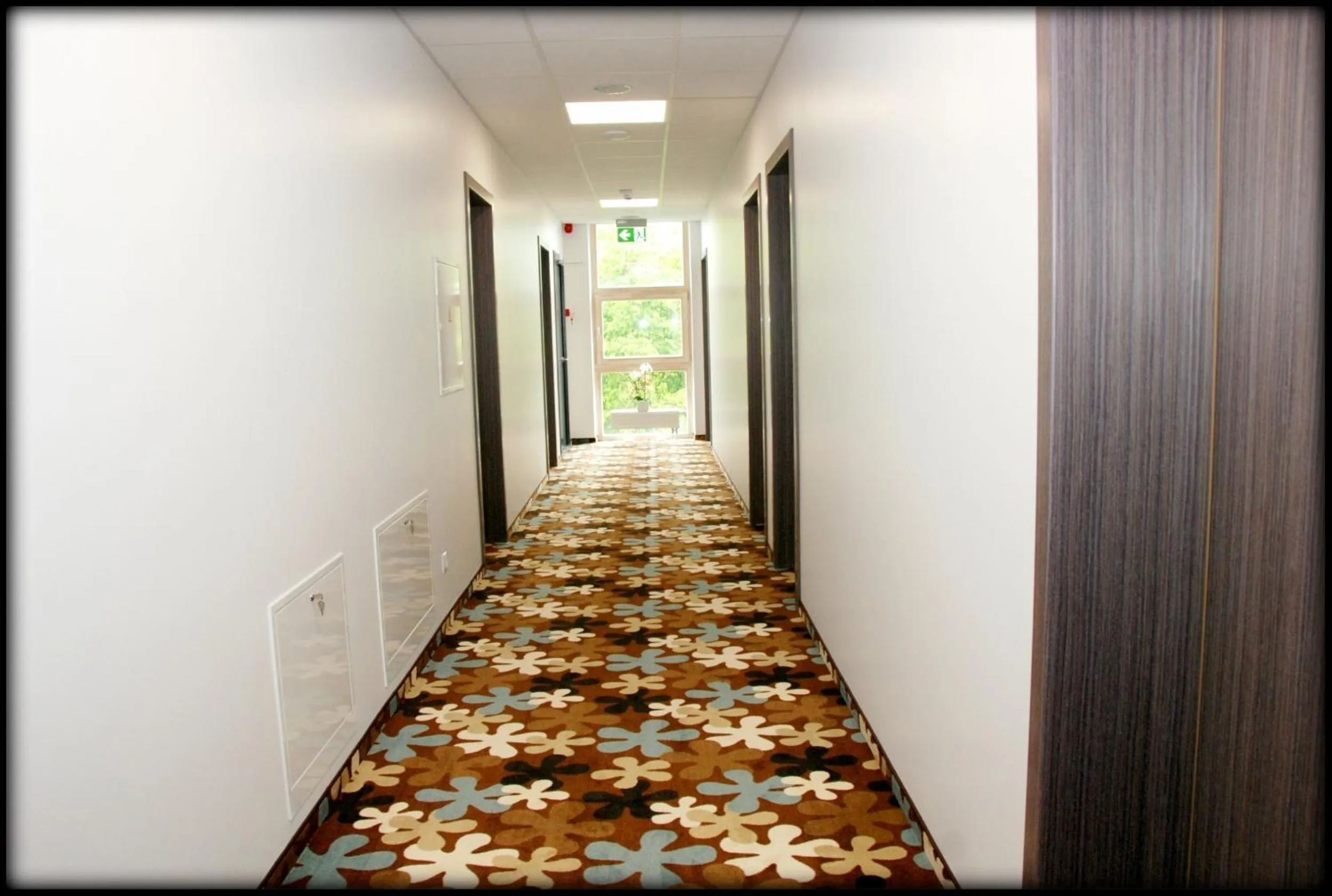 Decorative detail in Algiro Hotel