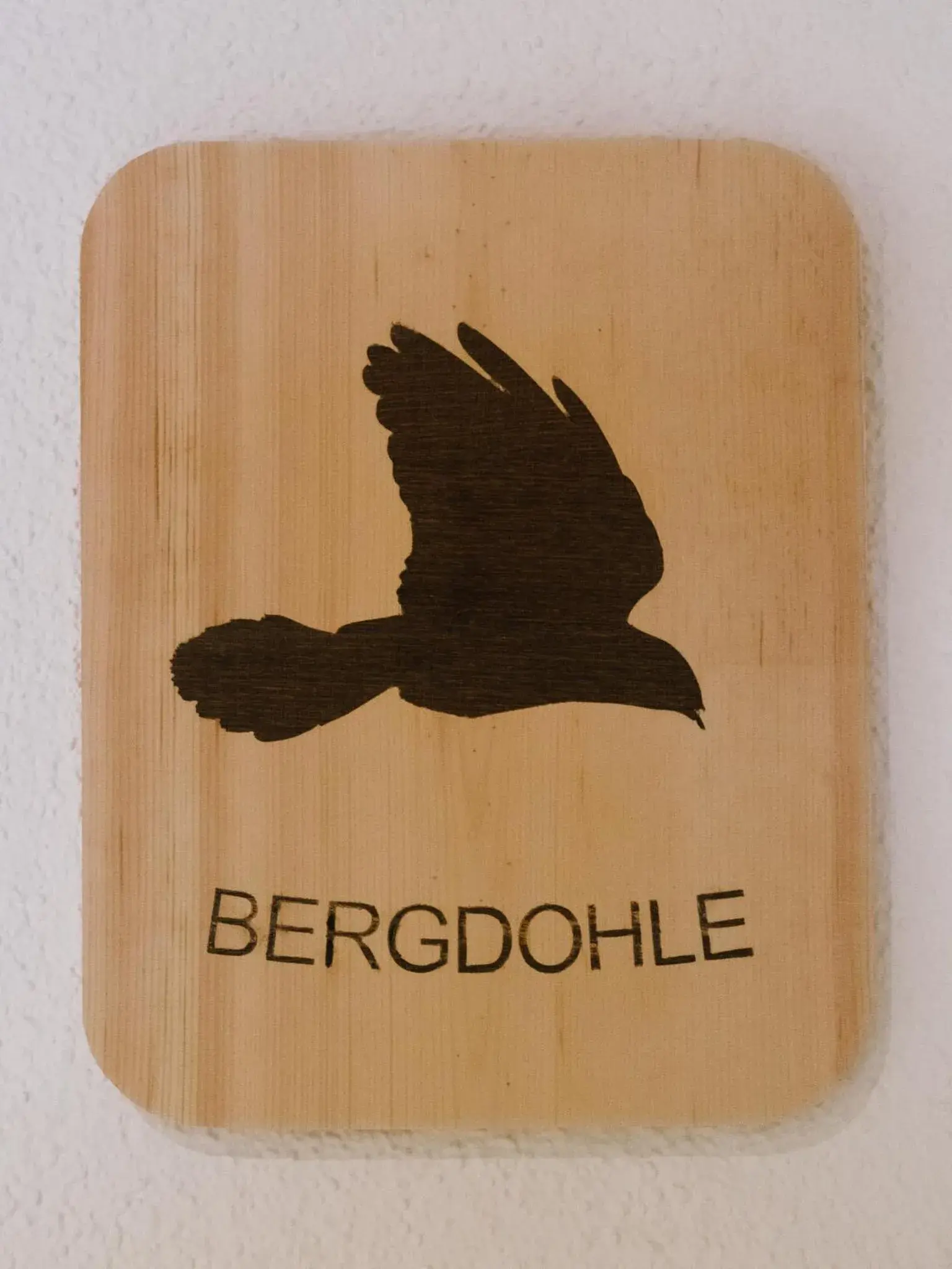 Apartment in Haus Piz Lad Apartment in Haus Piz Lad