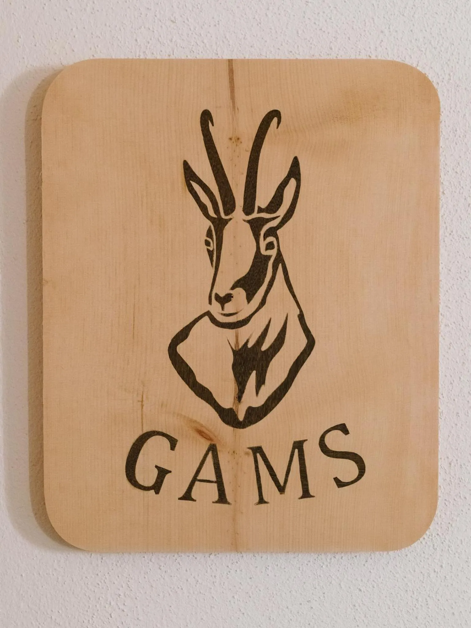 Decorative detail in Haus Piz Lad