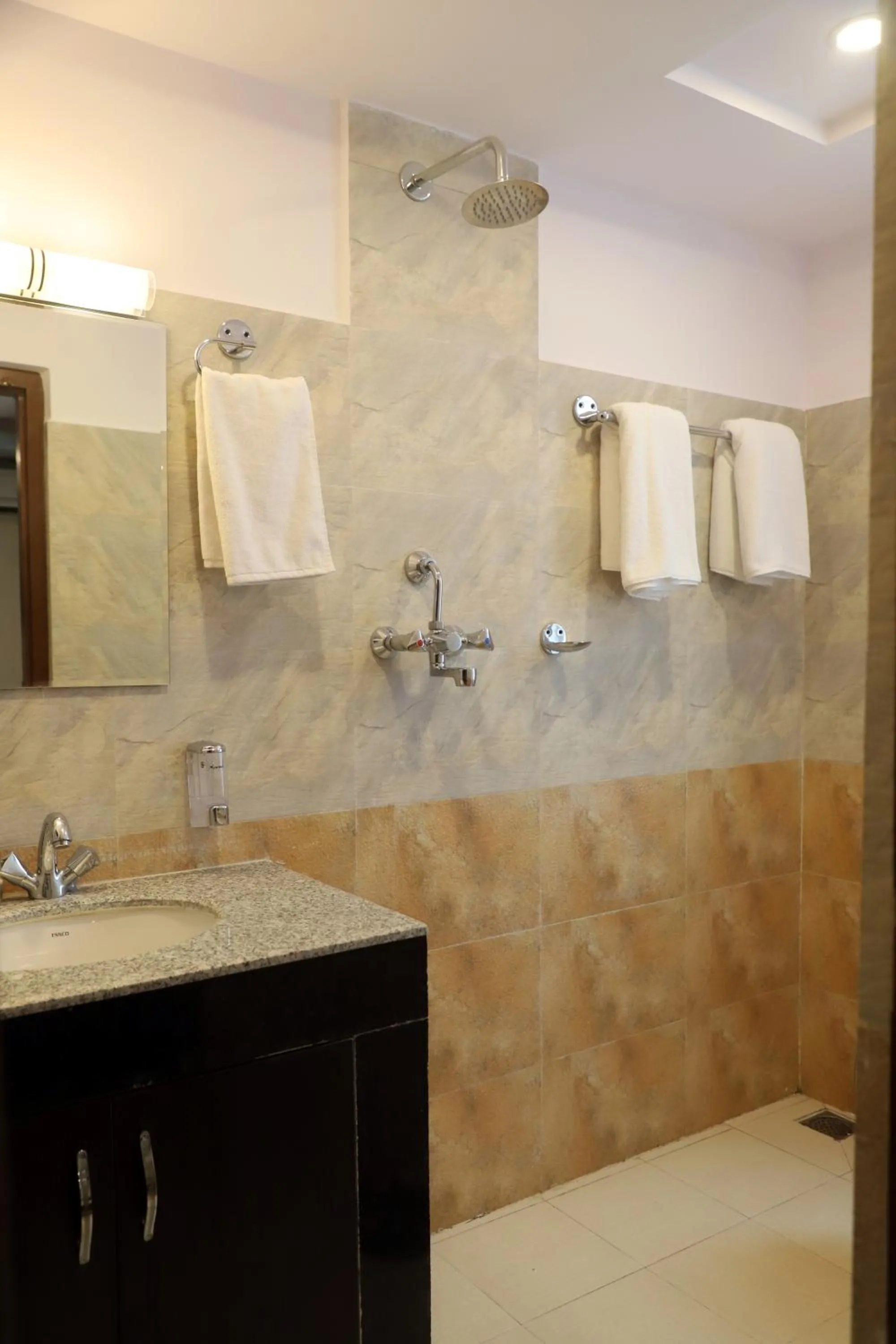 Bathroom in Hotel Pipal Tree