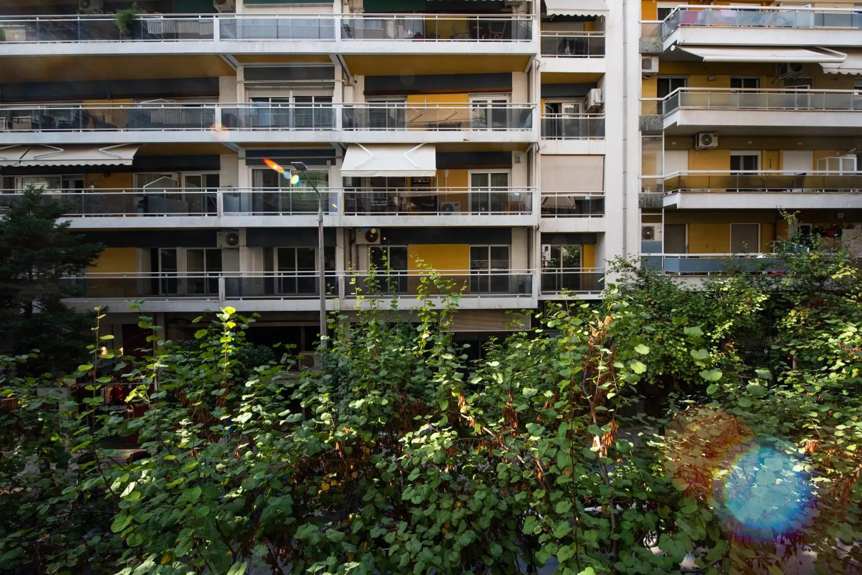 Property building in Mandarin apartments by halu! Property building in Mandarin apartments by halu!