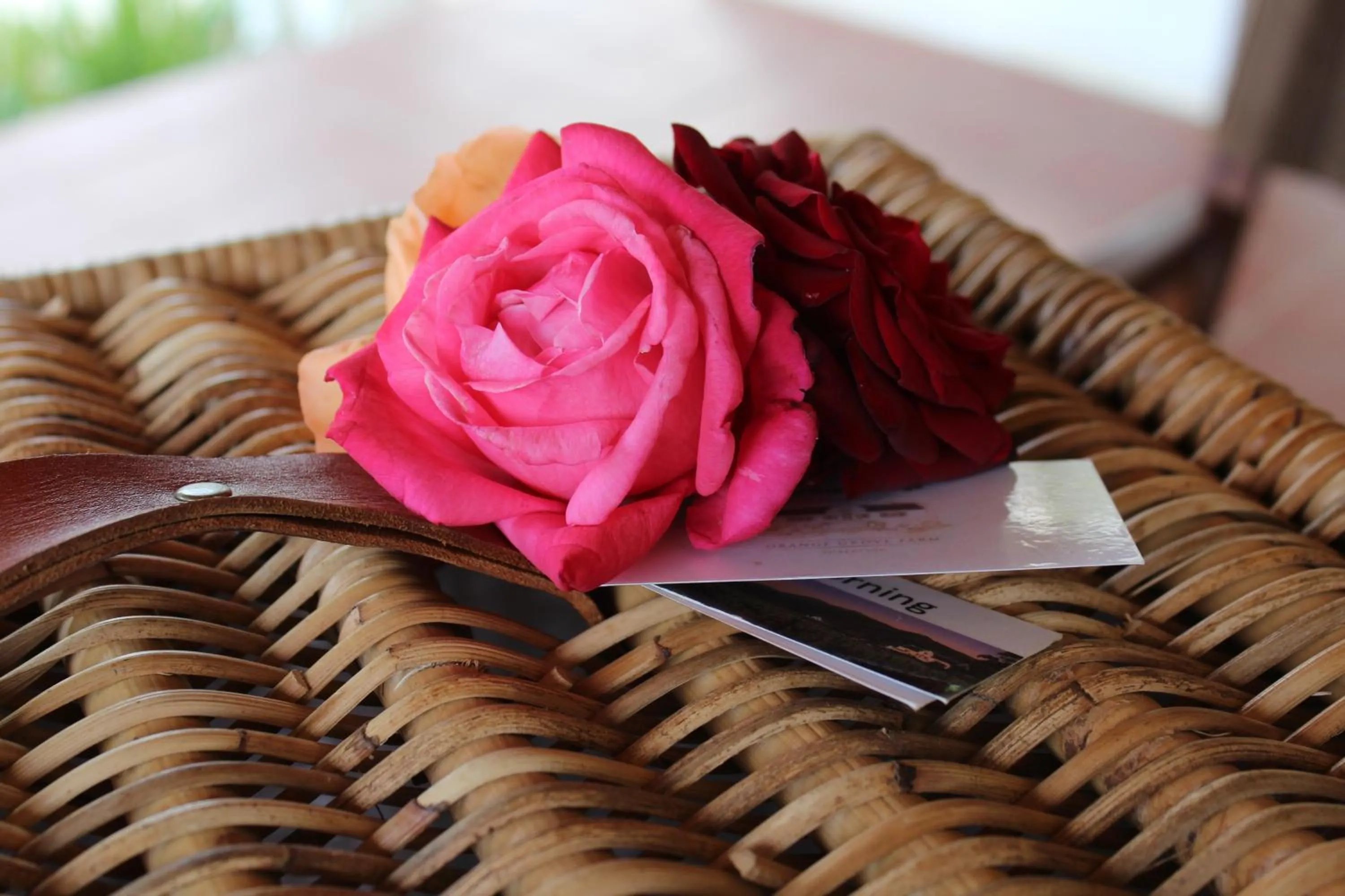 Food and drinks in Orange Grove