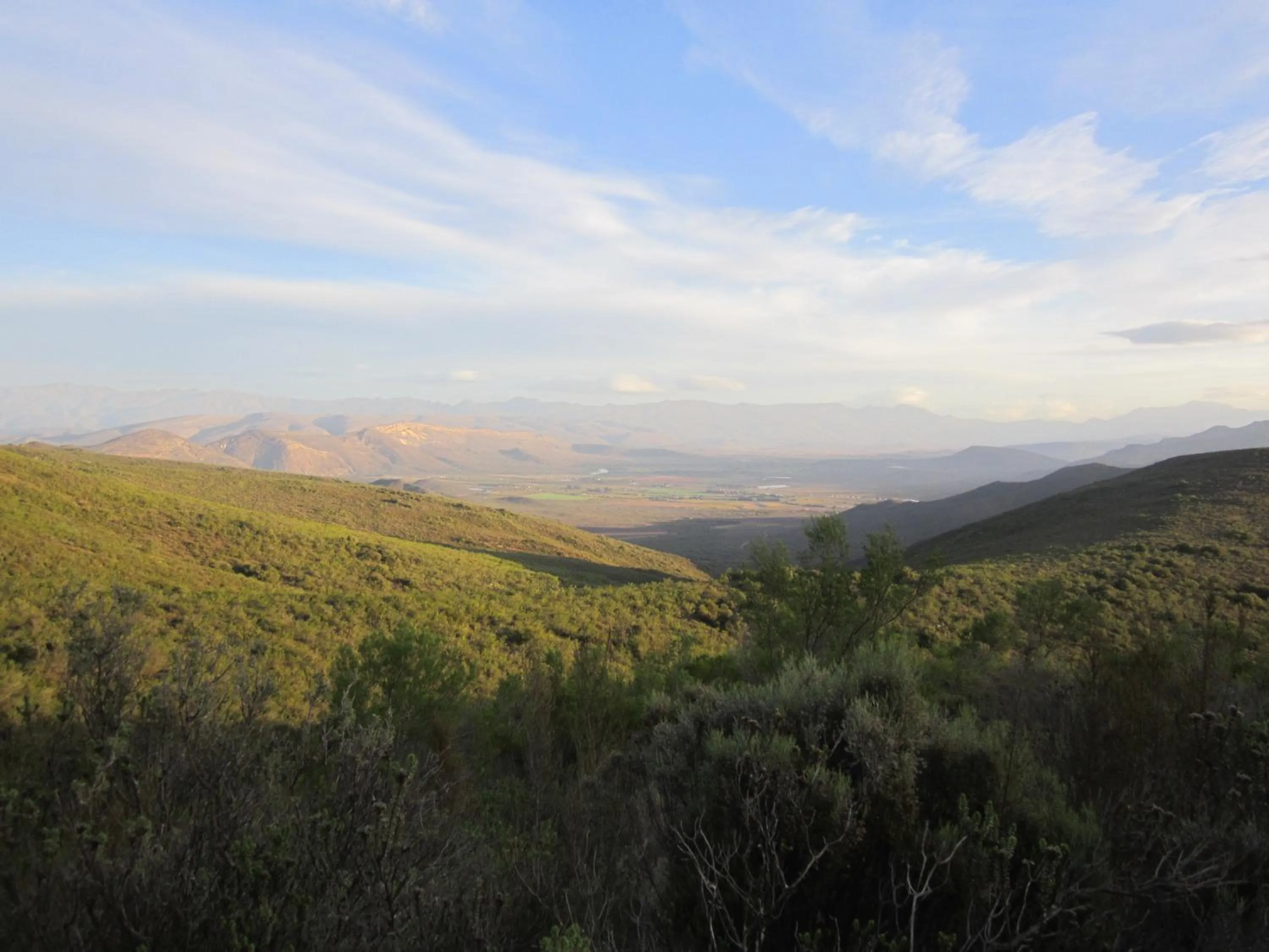 Natural landscape in Orange Grove