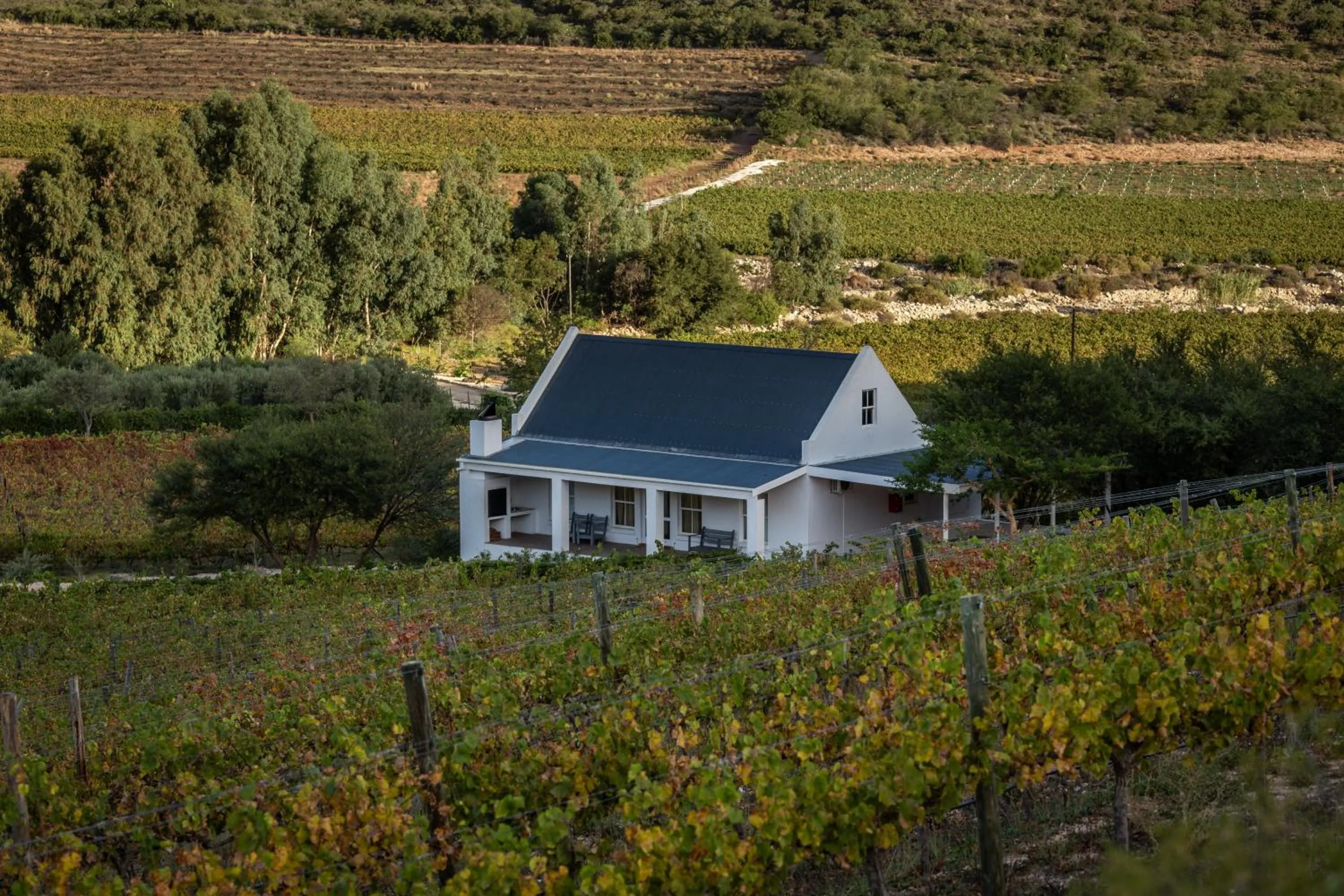 Property building in Orange Grove