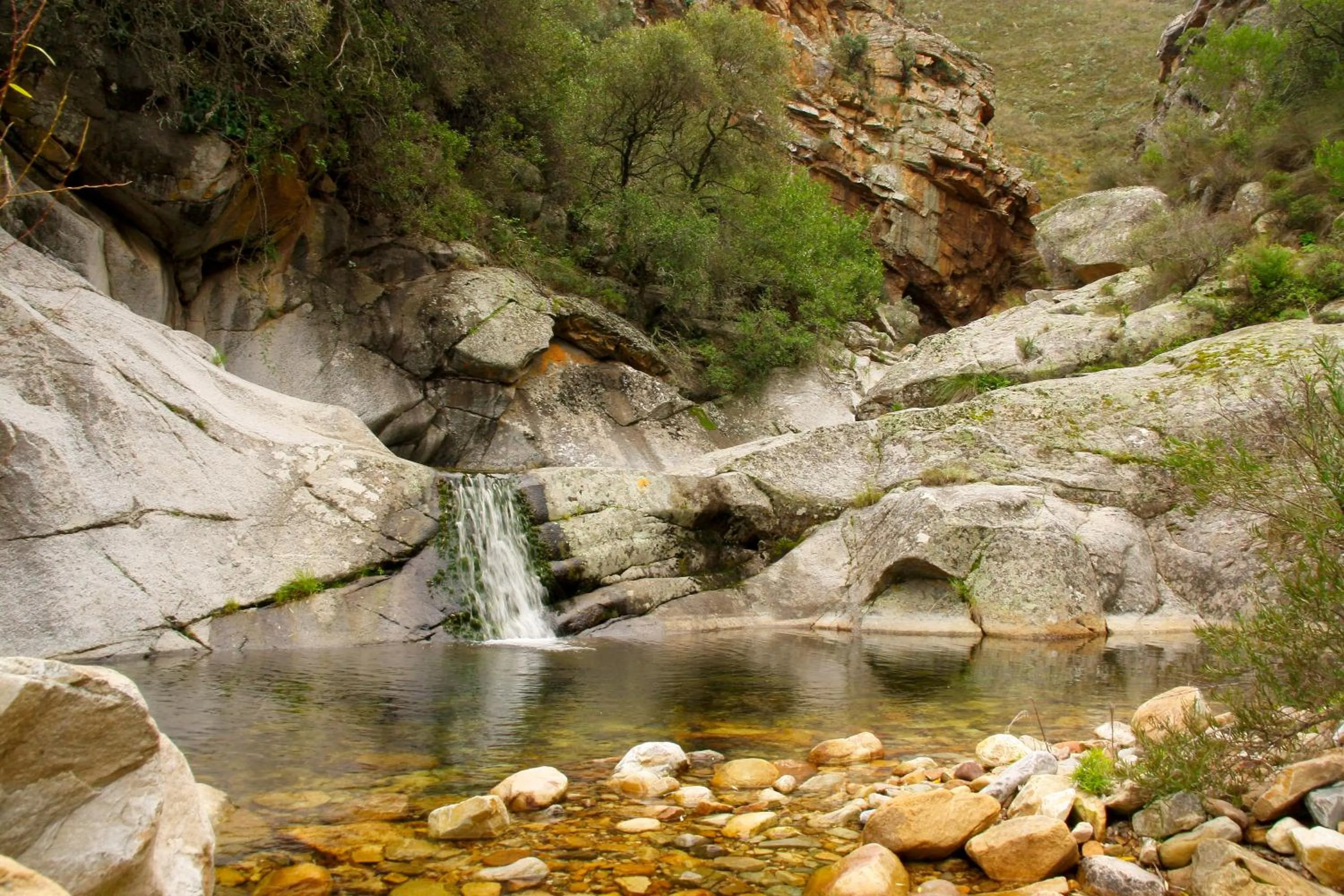 Natural landscape in Orange Grove