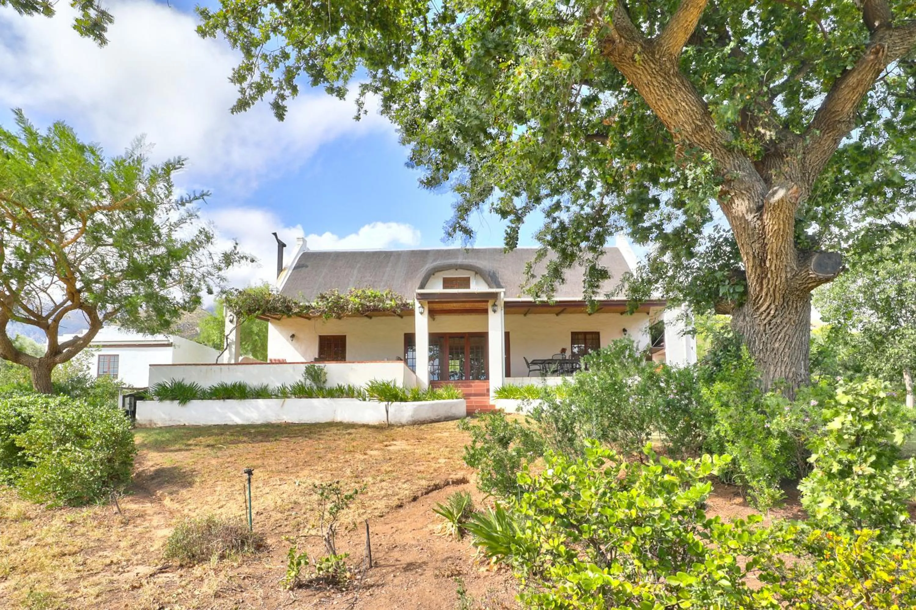 Garden in Orange Grove