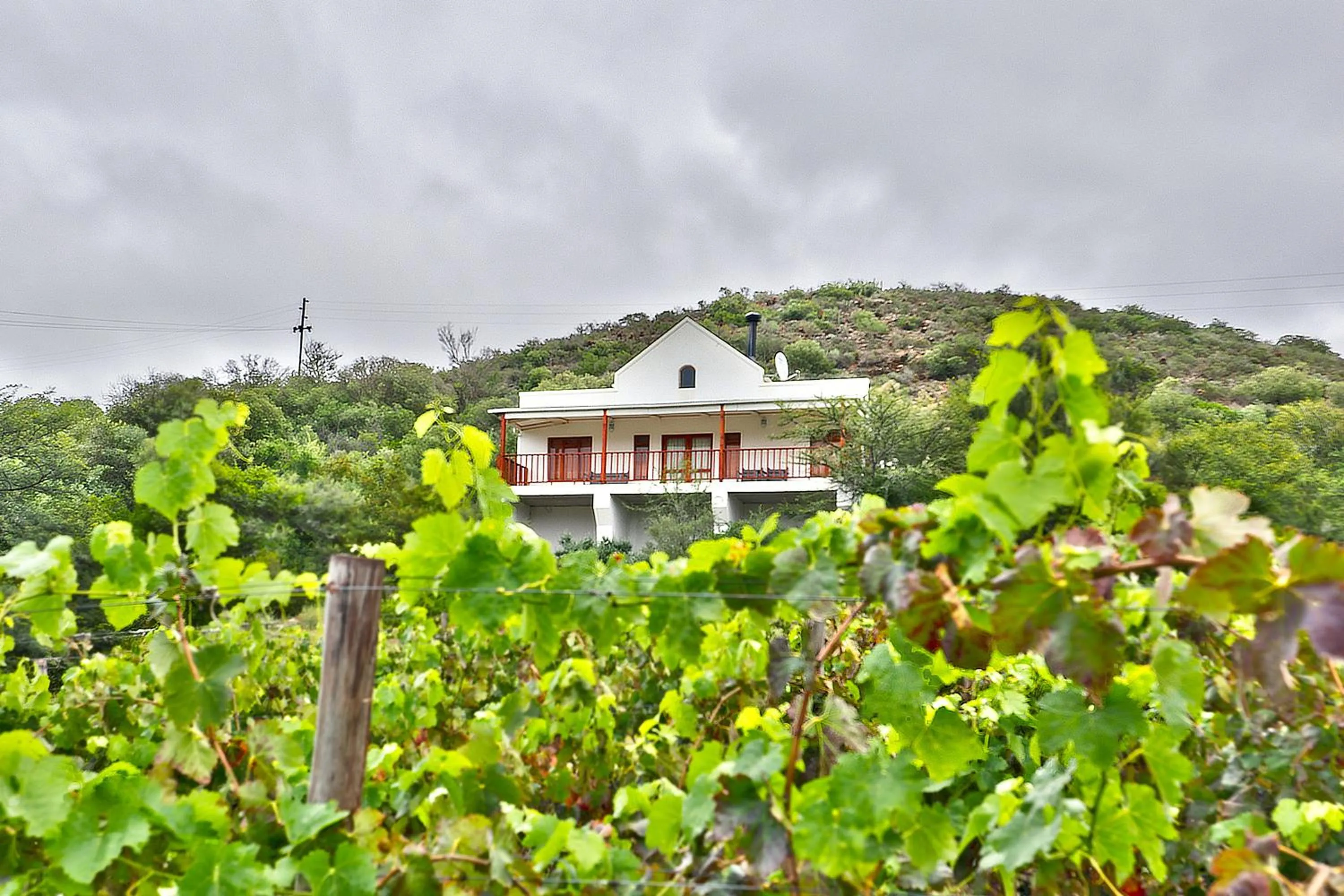 Property building in Orange Grove