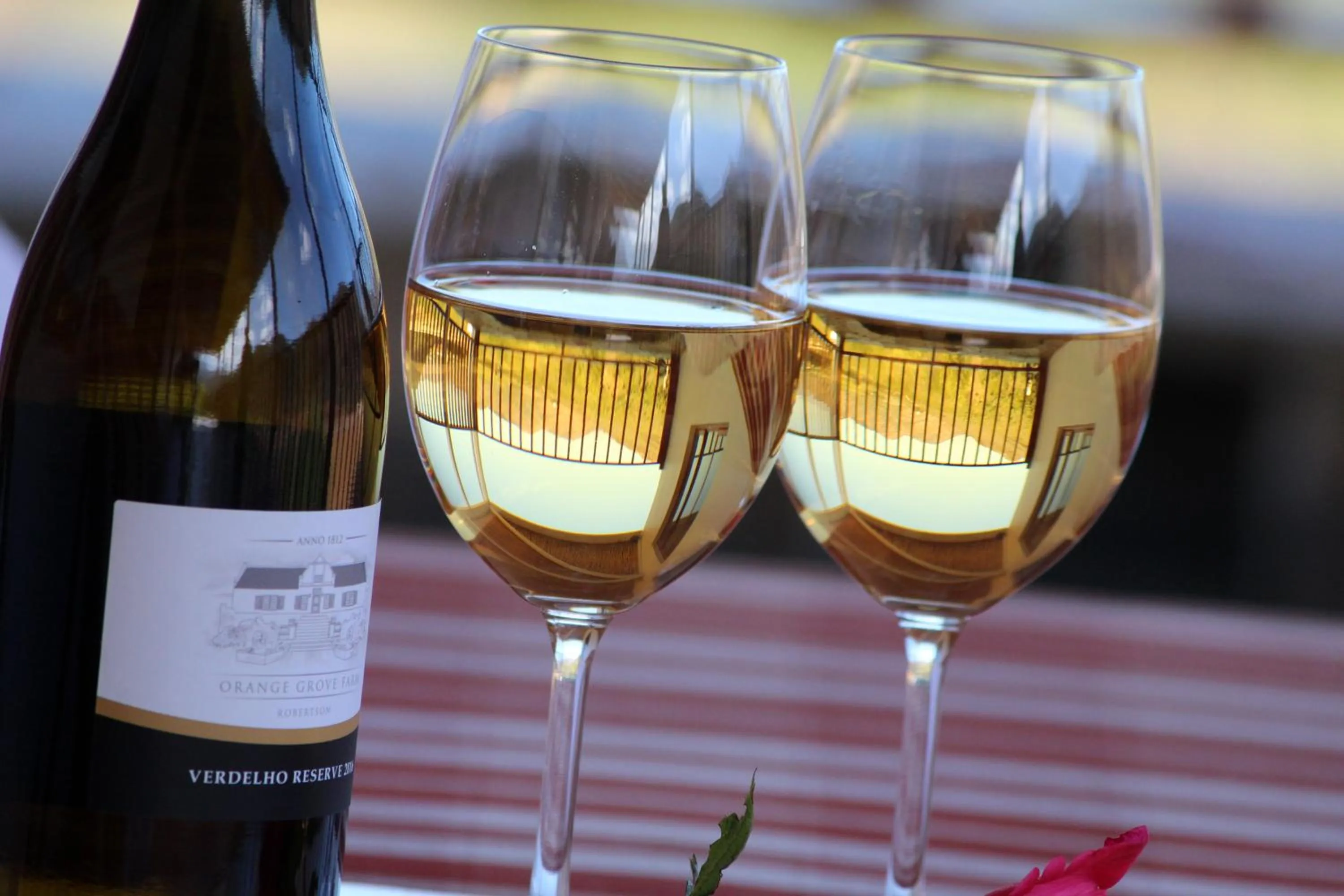 Drinks in Orange Grove