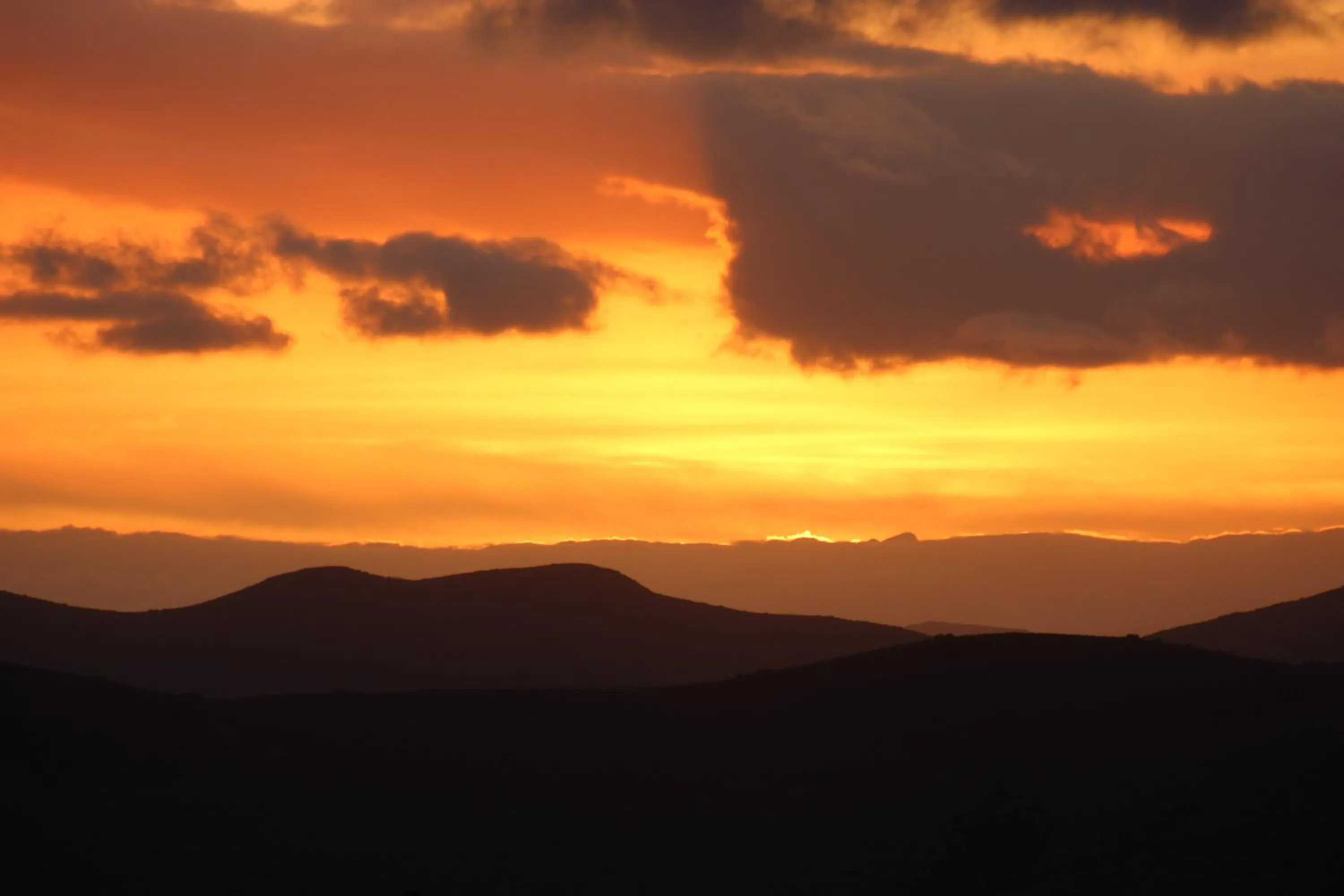 Natural landscape in Orange Grove