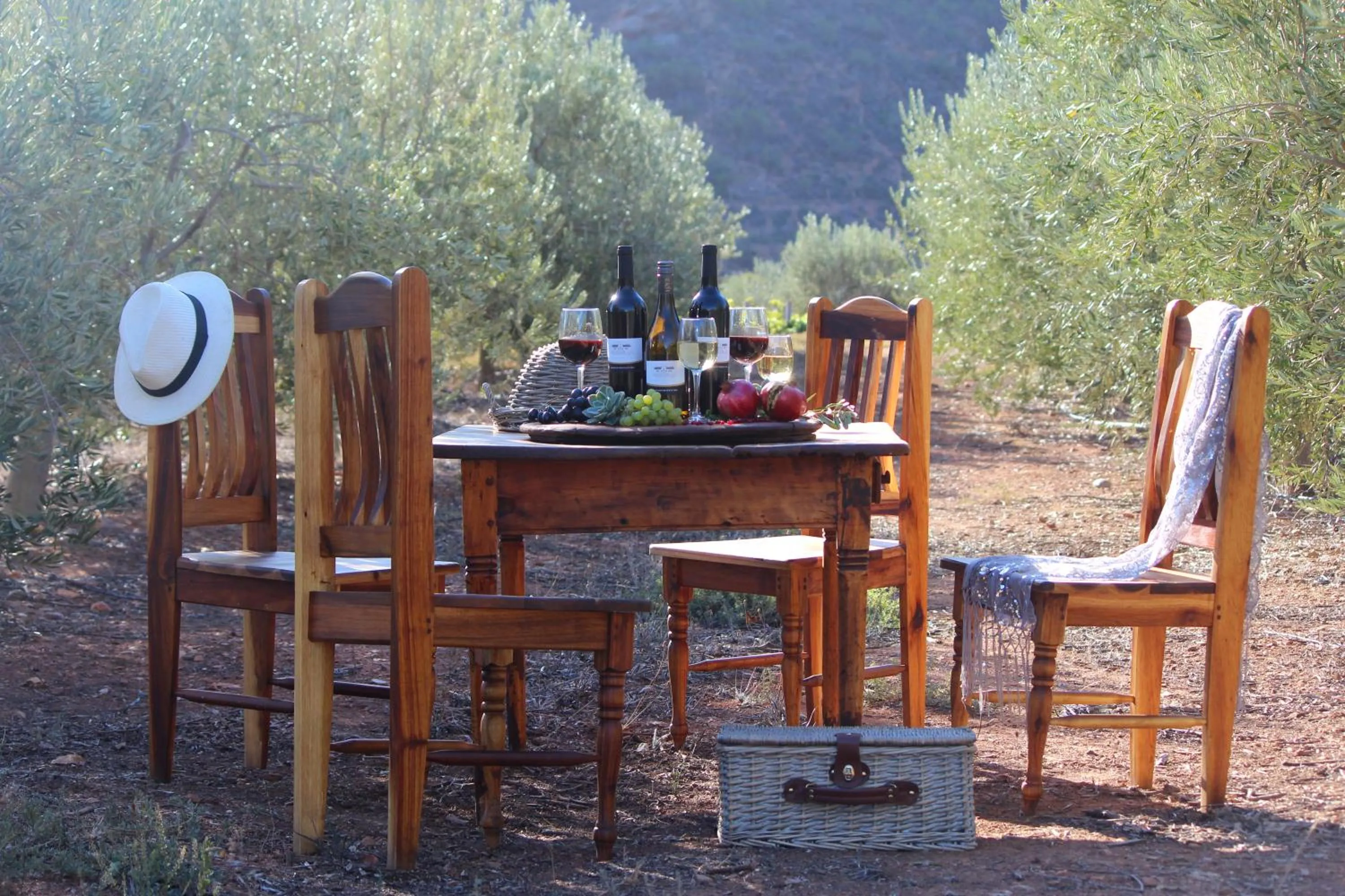 Garden in Orange Grove