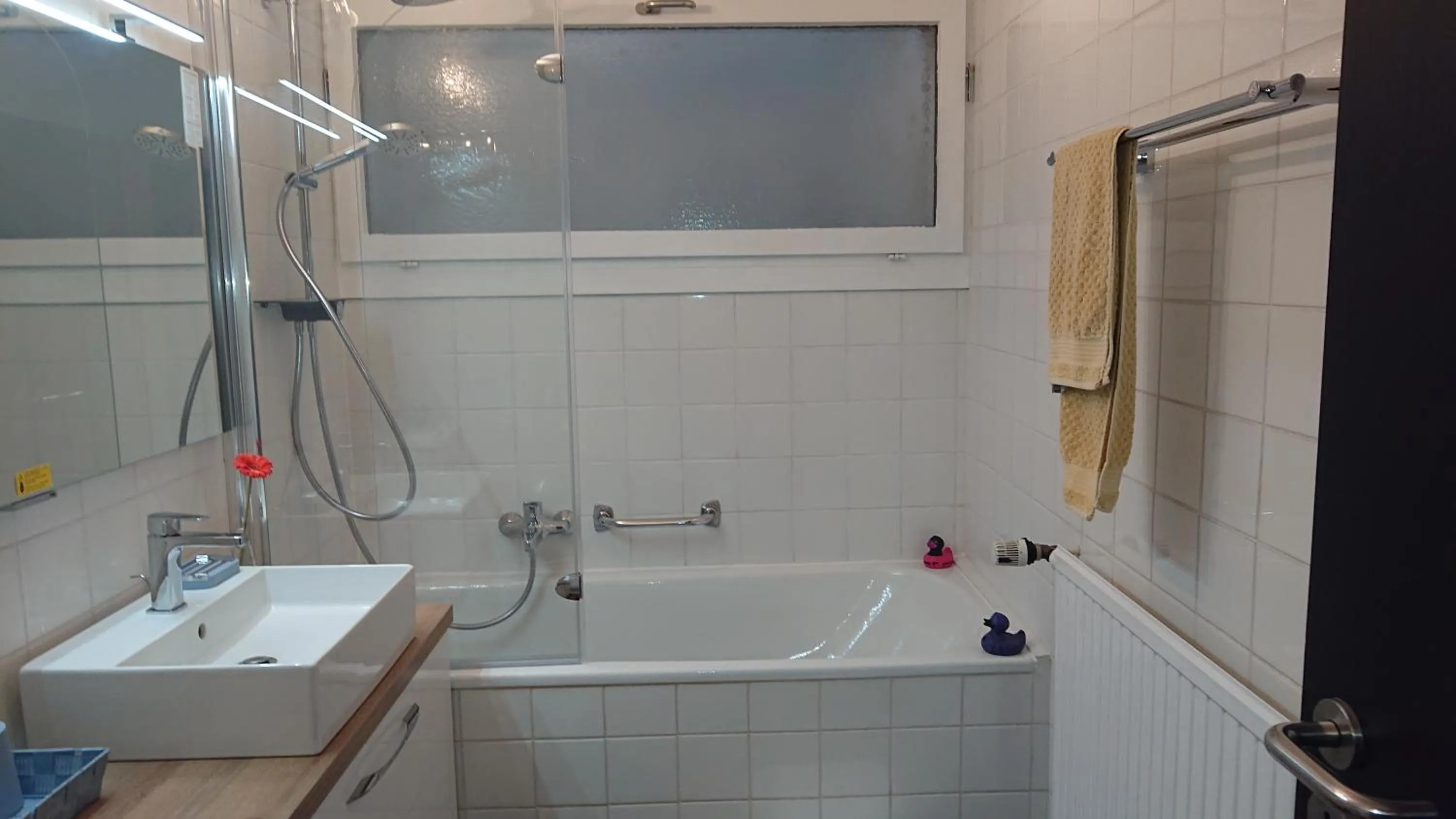 Shower in Haus Rosebud
