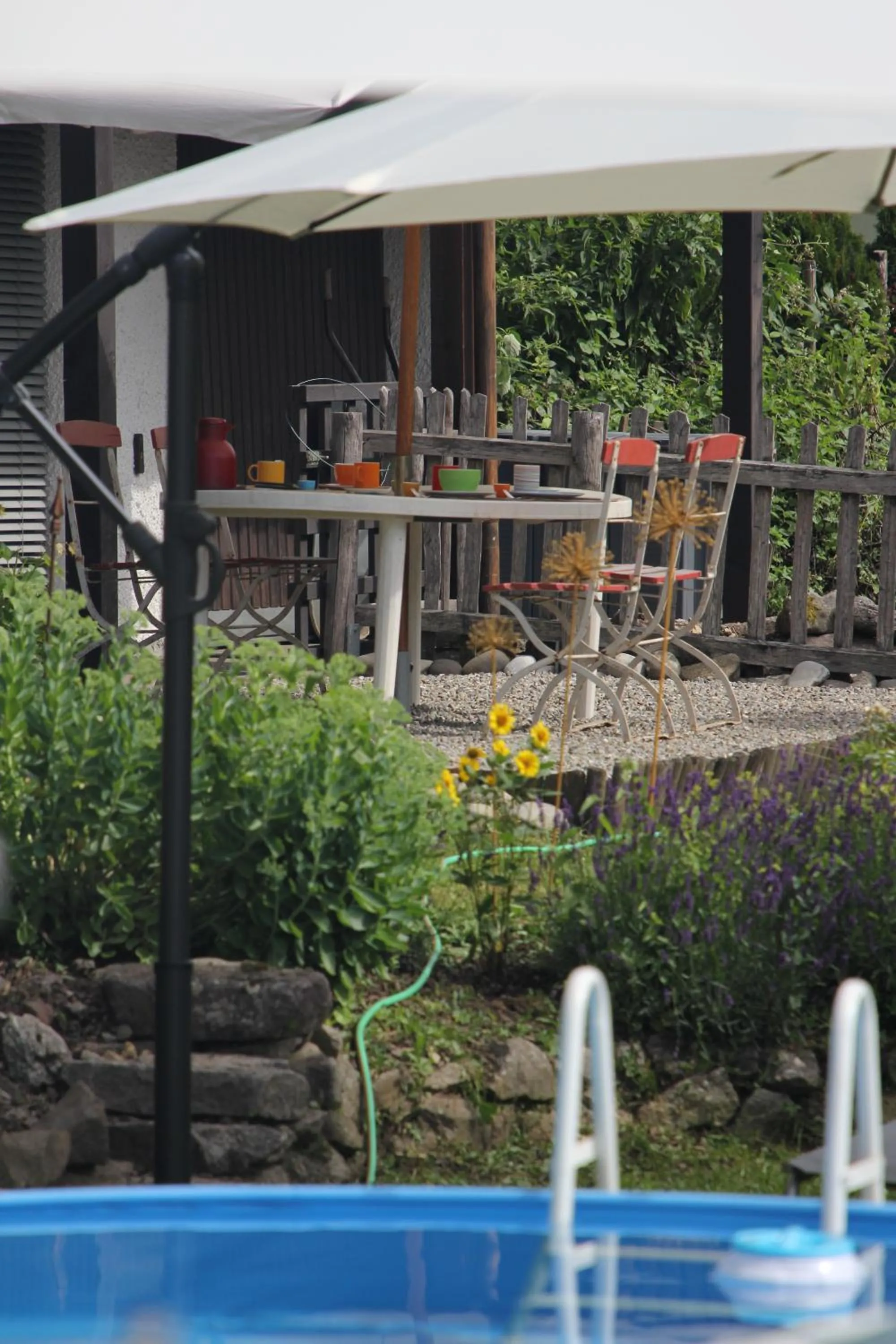 Summer in Haus Rosebud