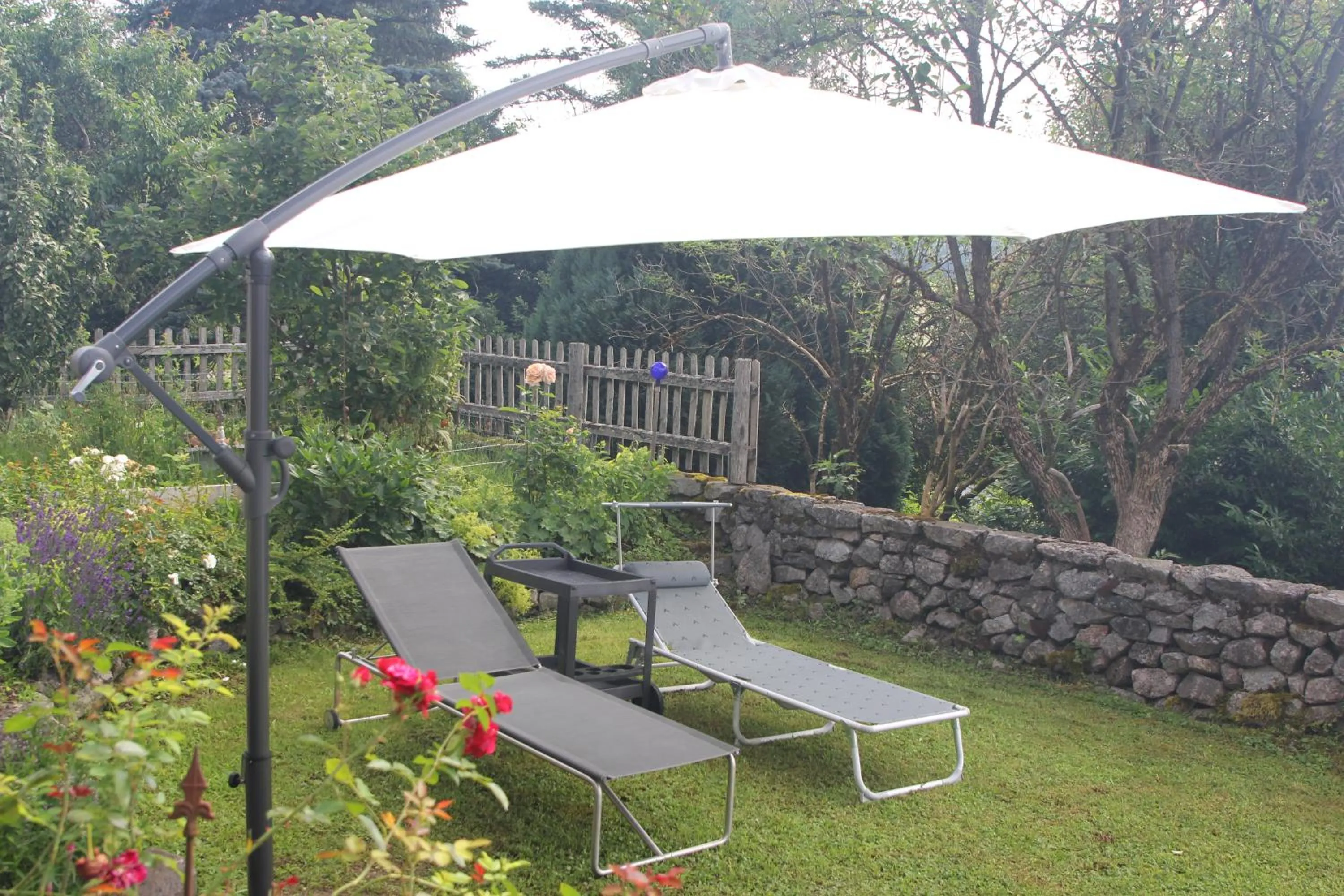Summer in Haus Rosebud