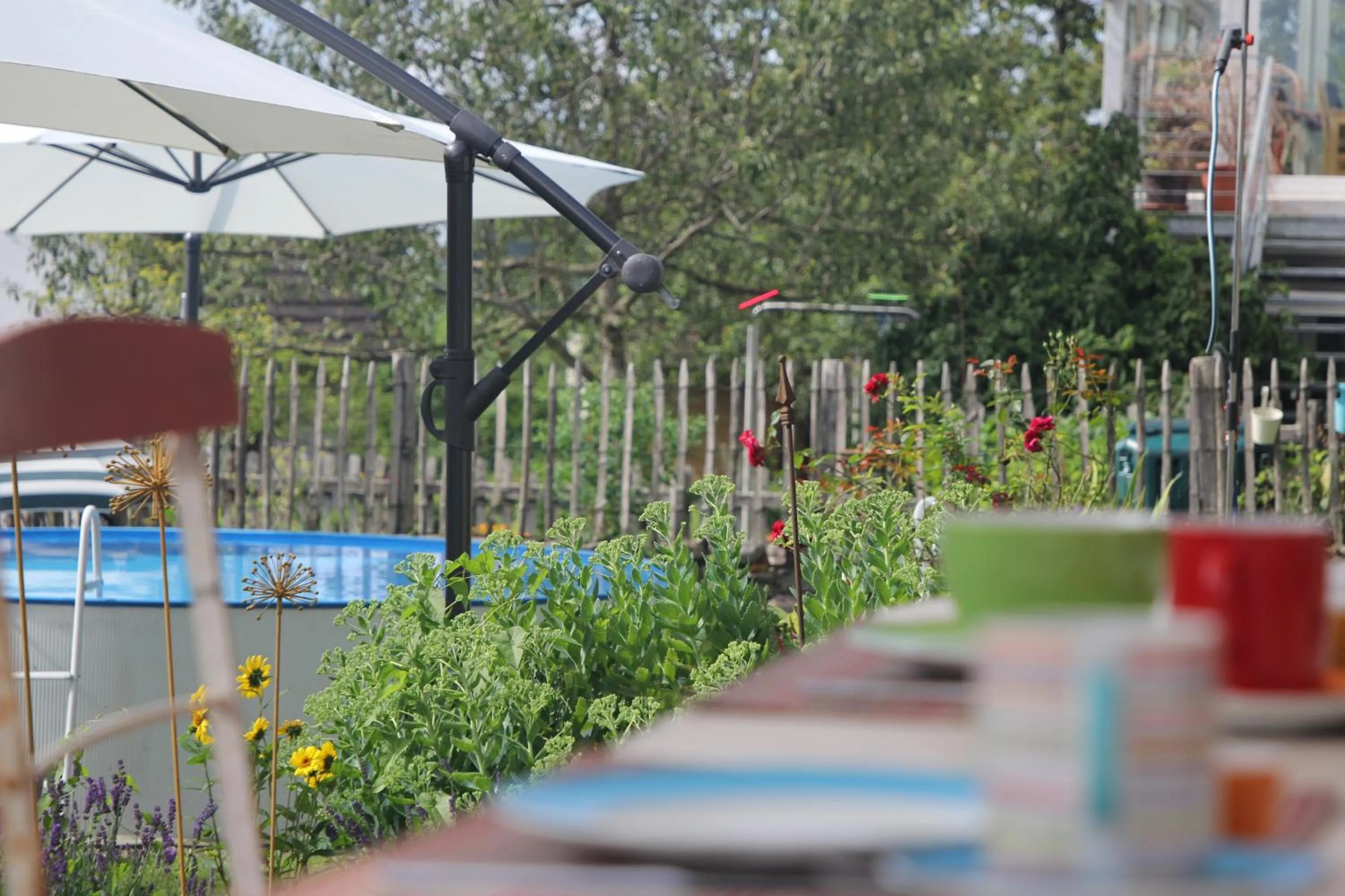 Summer in Haus Rosebud