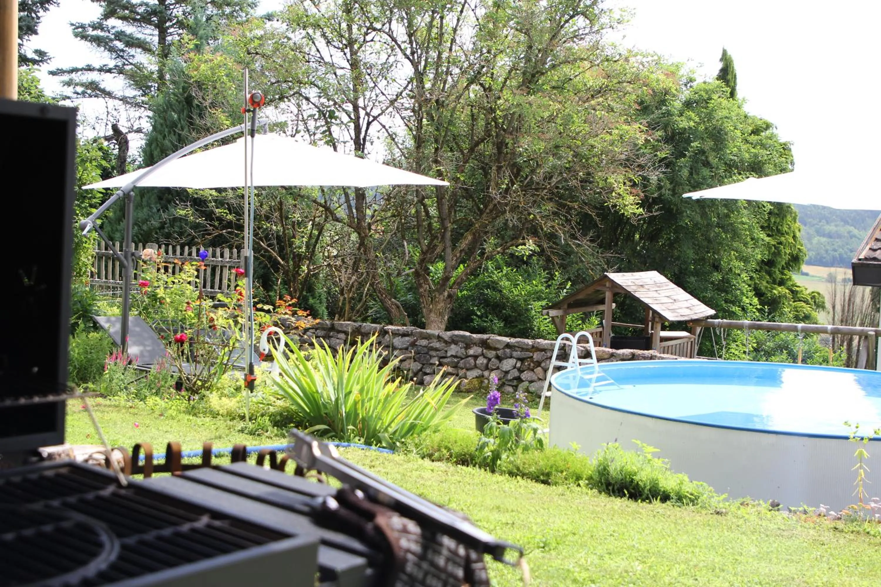 Summer in Haus Rosebud