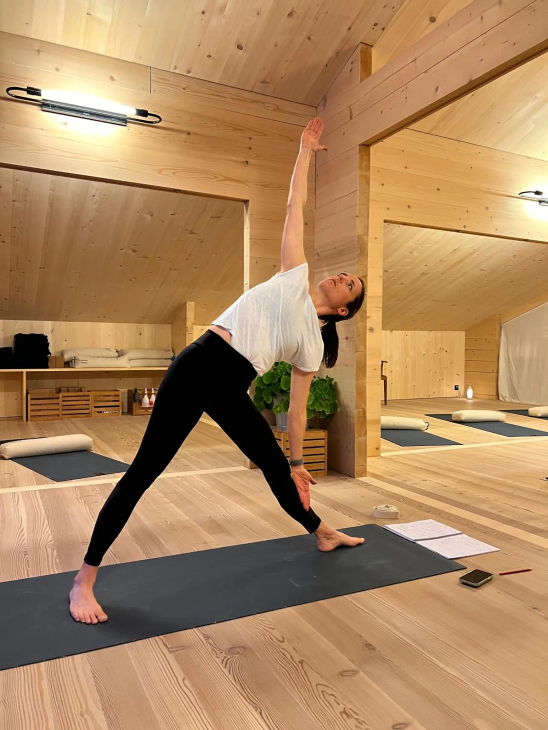 Spa and wellness centre/facilities in Berglodge Goms (Hotel)