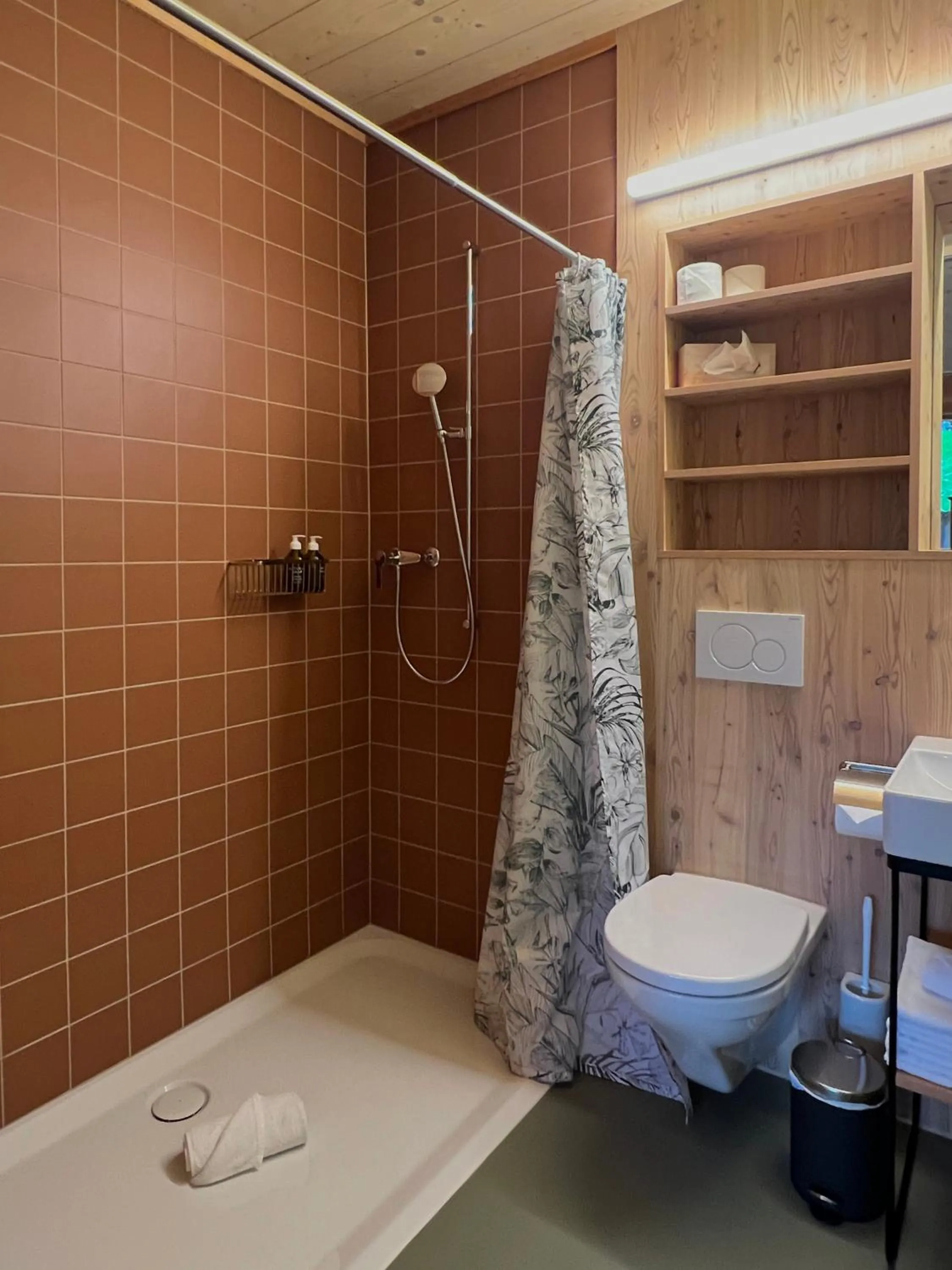 Shower in Berglodge Goms (Hotel)