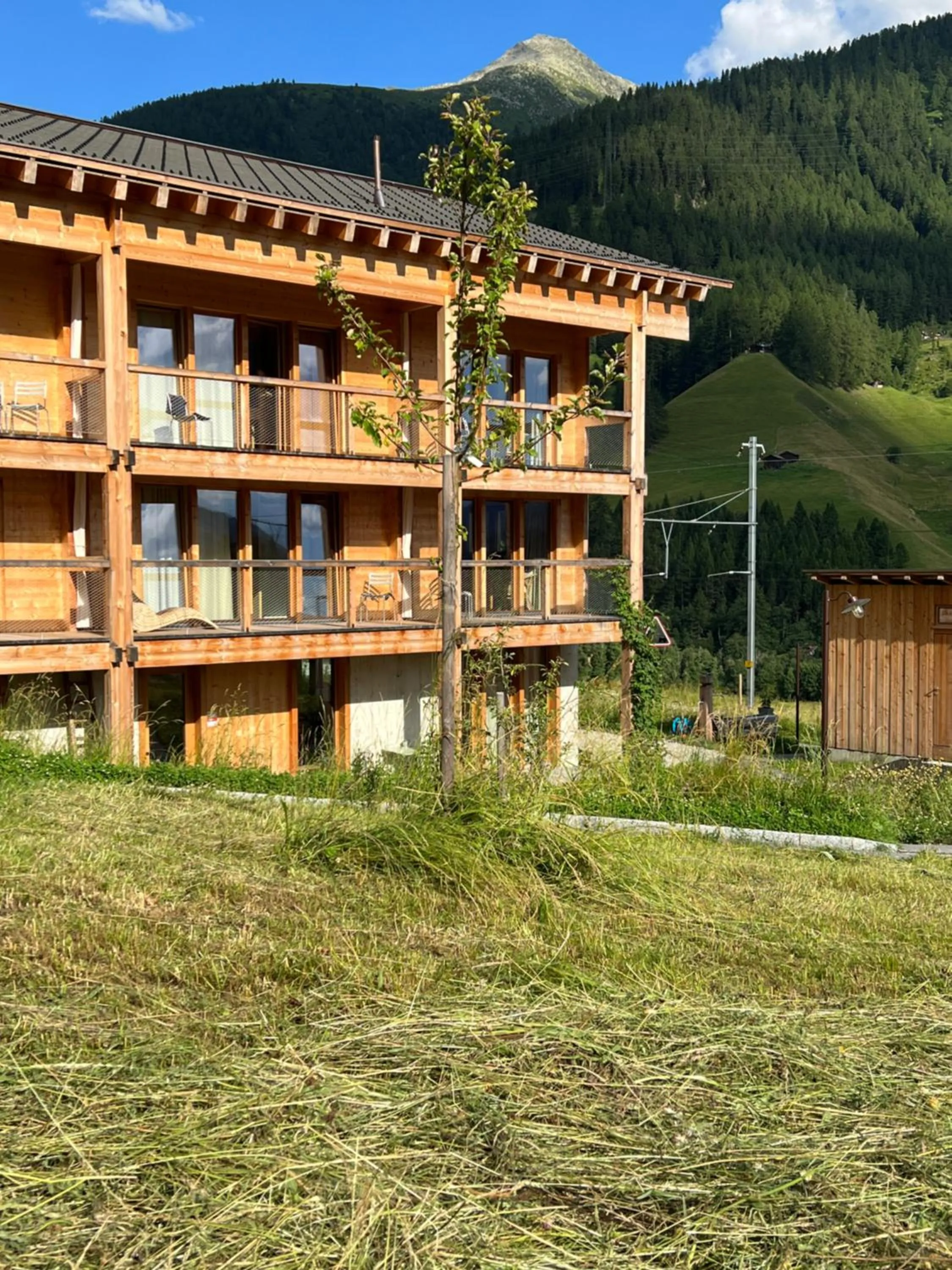 Garden in Berglodge Goms (Hotel)